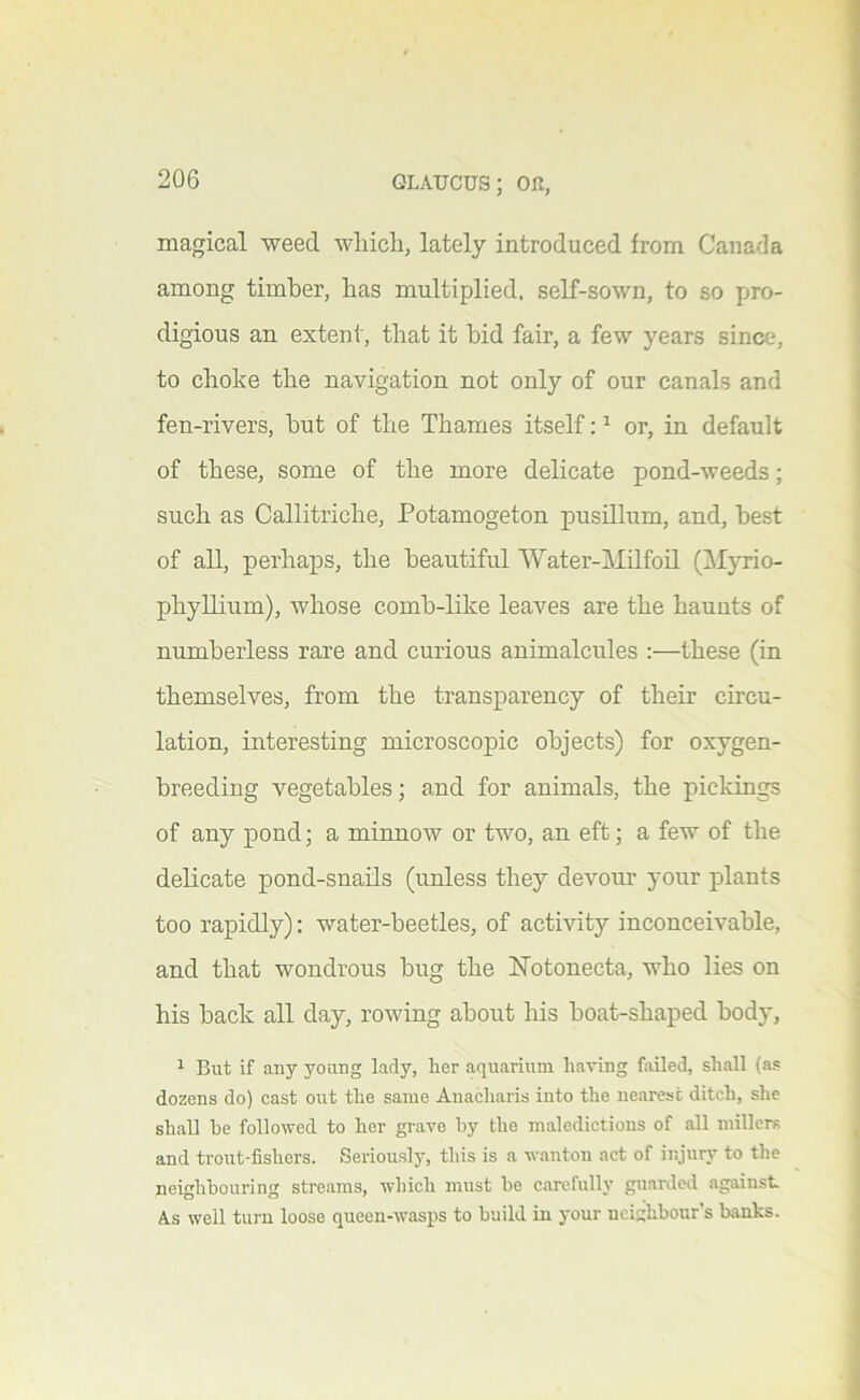 magical -weed whicli, lately introduced from Canada among timber, has multiplied, self-sown, to so pro- digious an extent, that it bid fair, a few years since, to choke the navigation not only of our canals and fen-rivers, but of the Thames itself: ^ or, in default of these, some of the more delicate pond-weeds; such as Callitriche, Potamogeton pusillum, and, best of all, perhaps, the beautiful Water-Milfoil (Myrio- phyUium), whose comb-like leaA’-es are the haunts of numberless rare and curious animalcules :—these (in themselves, from the transparency of their circu- lation, interesting microscopic objects) for oxygen- breeding vegetables; and for animals, the pickings of any pond; a minnow or two, an eft; a few of the delicate pond-snails (unless they devour your plants too rapidly): water-beetles, of activity inconceivable, and that wondrous bug the ISiotonecta, who lies on his back all day, rowing about his boat-shaped body, ^ But if any young lady, her aquarium haring failed, shall (as dozens do) cast out the same Auacharis into the nearest ditch, she shall he followed to her grave by the maledictions of all millers and trout-fishers. Seriously, this is a wanton act of injury to the neighbouring streams, which must be carefully guarded against As well turn loose queen-wasps to build in your neighbour’s banks.