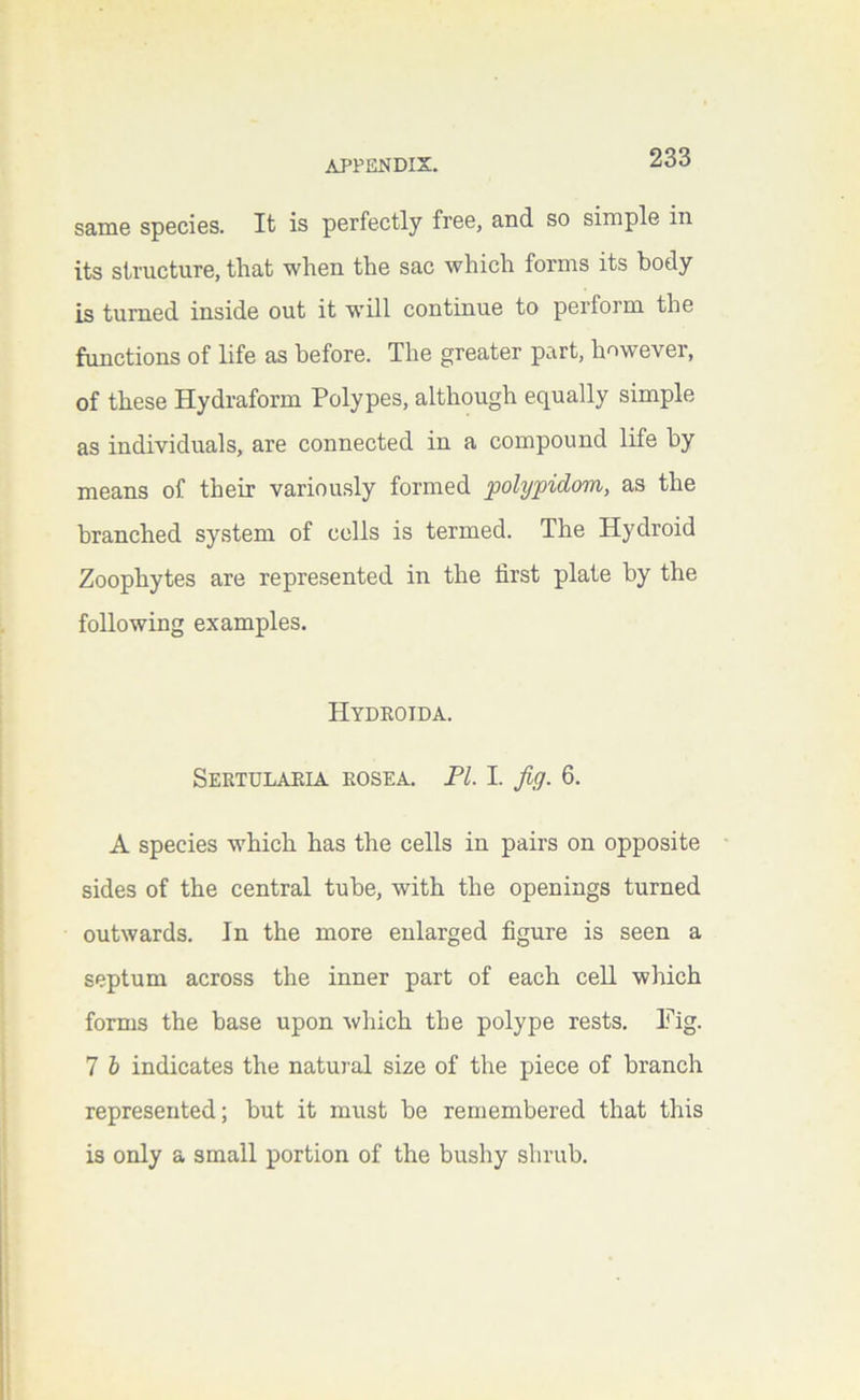 same species. It is perfectly free, and so simple in its structure, that when the sac which forms its body is turned inside out it will continue to perform the functions of life as before. The greater part, however, of these Hydraform Polypes, although equally simple as individuals, are connected in a compound life by means of their variously formed polypidom, as the branched system of cells is termed. The Hydroid Zoophytes are represented in the first plate by the following examples. Hydroida. Sertulaeia rosea, pi. I. Jig. 6. A species which has the cells in pairs on opposite sides of the central tube, with the openings turned outwards. In the more enlarged figure is seen a septum across the inner part of each cell which forms the base upon which the polype rests. Fig. 7 h indicates the natural size of the piece of branch represented; but it must be remembered that this is only a small portion of the bushy shrub.