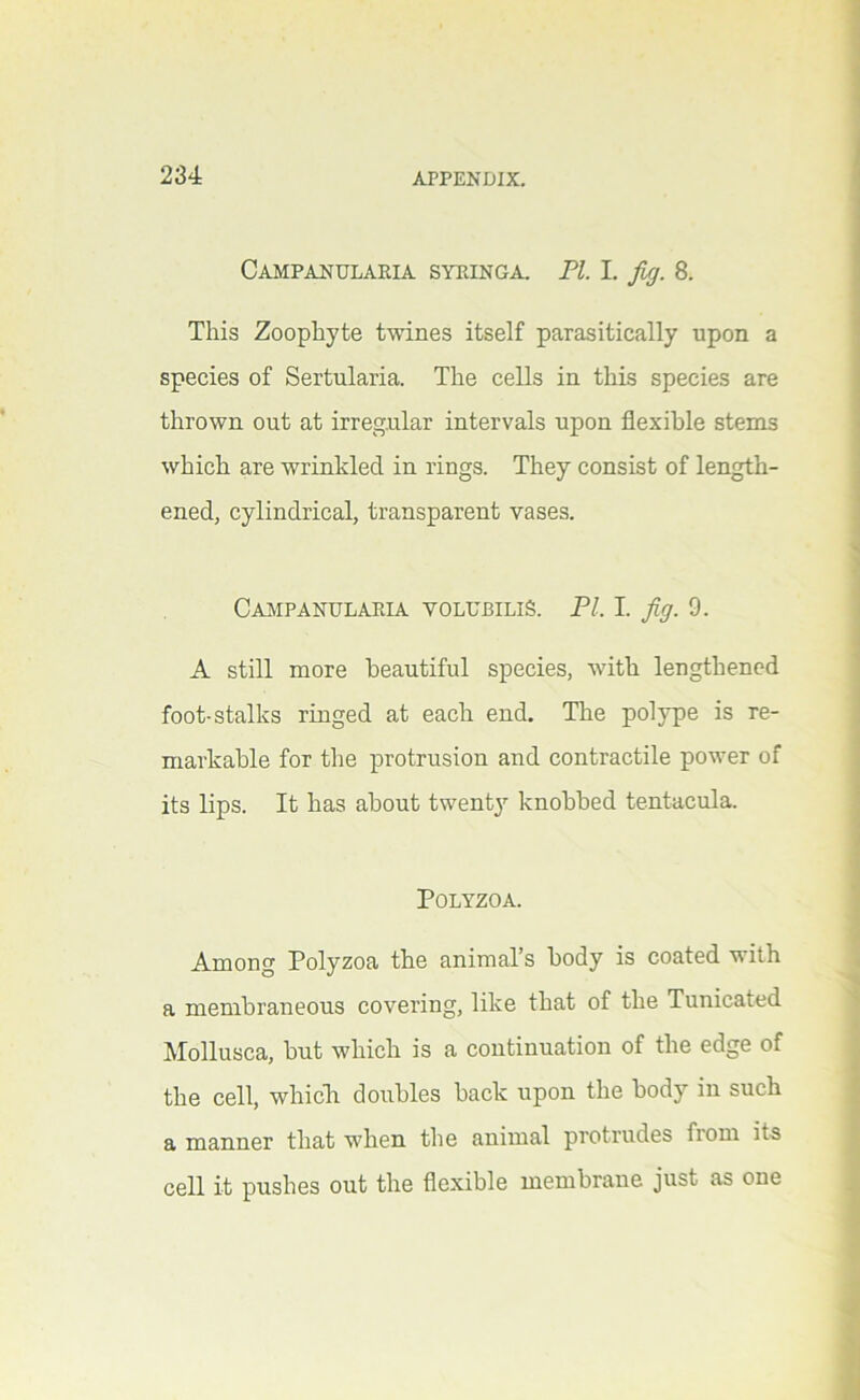 Campanularia SYMNGA. pi. I. fig. 8. This Zoophyte twines itself parasitically upon a species of Sertularia. The cells in this species are thrown out at irregular intervals upon flexible stems which are wrinkled in rings. They consist of length- ened, cylindrical, transparent vases. Caimpanulaeia volubiliS. pi. I. fig. 9. A still more beautiful species, with lengthened foot-stalks ringed at each end. The polype is re- markable for the protrusion and contractile power of its lips. It has about twent}’- knobbed tentacula. POLYZOA. Among Polyzoa the animal’s body is coated with a membraneous covering, like that of the Tunicated Mollusca, but which is a continuation of the edge of the cell, whicli doubles back upon the body in such a manner that when the animal protrudes from its cell it pushes out the flexible membrane just as one