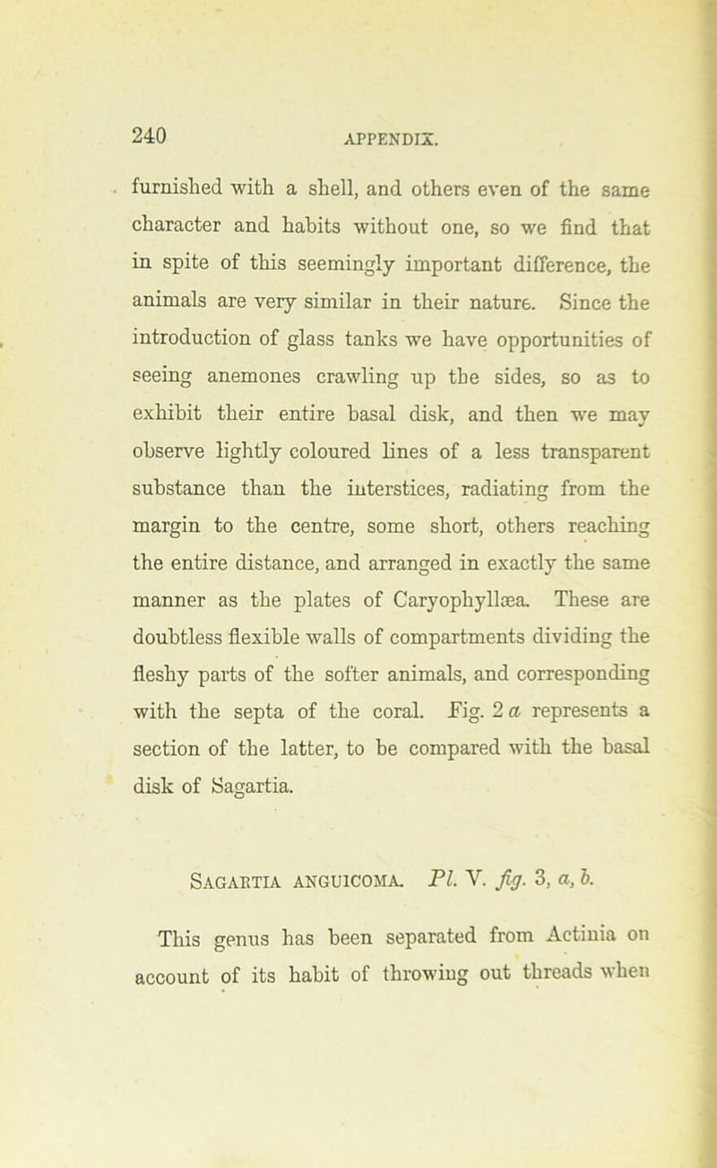 . furnished with a shell, and others even of the same character and habits without one, so we find that in spite of this seemingly important difference, the animals are very similar in their nature. Since the introduction of glass tanks we have opportunities of seeing anemones crawling up the sides, so as to exhibit their entire basal disk, and then we may observe lightly coloured lines of a less transparent substance than the interstices, radiating from the margin to the centre, some short, others reaching the entire distance, and arranged in exactly the same manner as the plates of Caryophyllaea. These are doubtless flexible walls of compartments dividing the fleshy parts of the softer animals, and corresponding with the septa of the coral. Fig. 2 a represents a section of the latter, to be compared with the basal disk of Sagartia. Sagaetia ANGUICOMA, PL V. fig. 3, a, 1. This genus has been separated from Actinia on account of its habit of throwing out threads when
