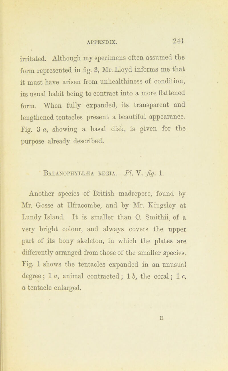 irritated. Although my specimens often assumed the form represented in fig. 3, Mr. Lloyd informs me that it must have arisen from unhealthiness of condition, its usual habit being to contract into a more fiattened form. When fully expanded, its transparent and lengthened tentacles present a beautiful appearance. Fig. 3 a, showing a basal disk, is given for the purpose already described. ' Balanophyluea eegia. FI. V. fic/. 1. ; Another species of British madrepore, found by I Mr. Gosse at Ilfracombe, and by Mr. Kingsley at 1 Lundy Island. It is smaller than C. Smithii, of a j very bright colour, and always covers the upper j part of its bony skeleton, in which the plates are differently arranged from those of the smaller species. Fig. 1 shows the tentacles expanded in an unusual , degree; 1 a, animal contracted; lb, tlie coral; 1 n, 1 a tentacle enlarged. I I I i i I I t ; I I