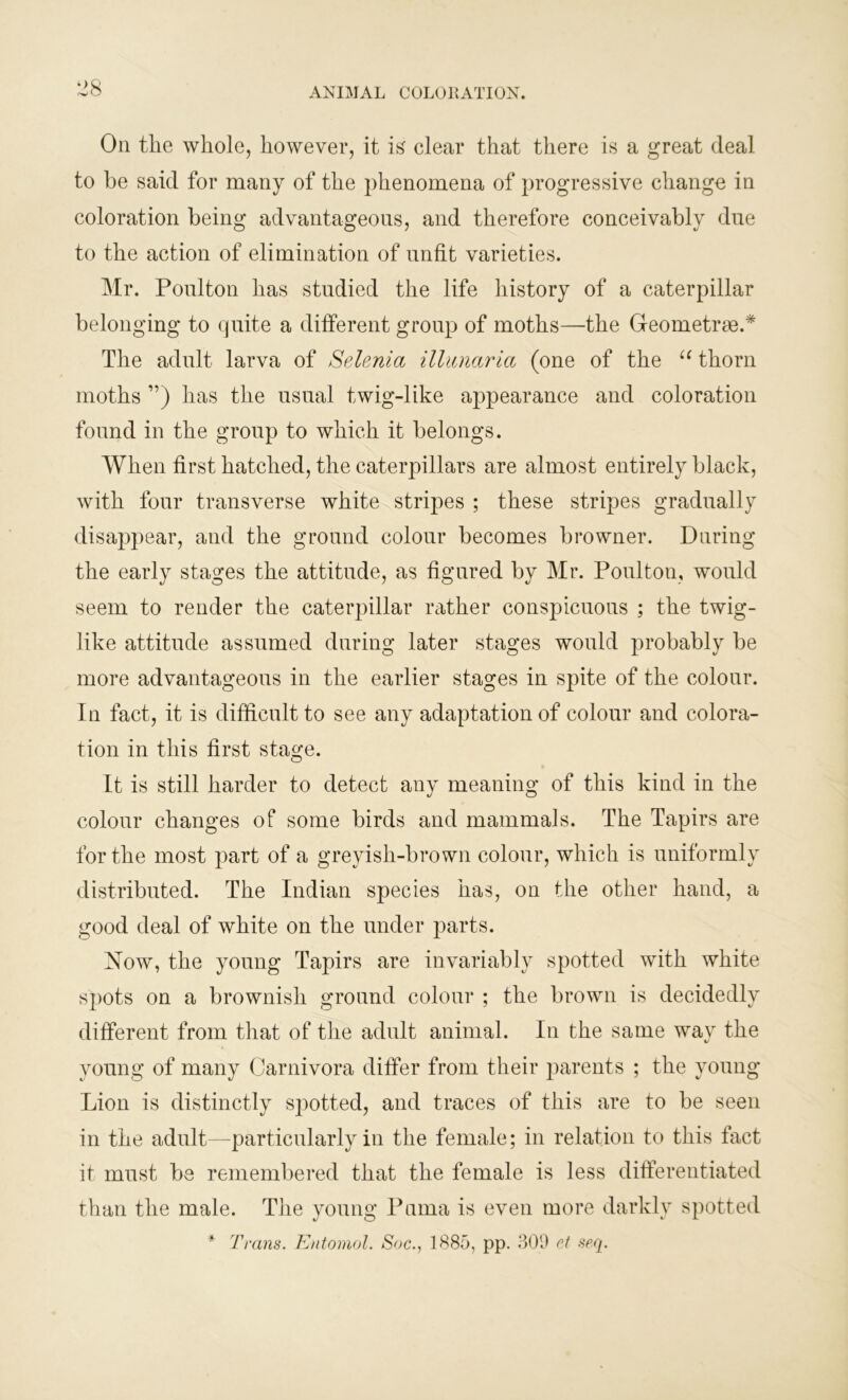On the whole, however, it is clear that there is a great deal to be said for many of the phenomena of progressive change in coloration being advantageous, and therefore conceivably due to the action of elimination of unfit varieties. Mr. Poulton has studied the life history of a caterpillar belonging to quite a different group of moths—the Geometrae.* The adult larva of Selenia illunaria (one of the “ thorn moths ”) has the usual twig-like appearance and coloration found in the group to which it belongs. When first hatched, the caterpillars are almost entirely black, with four transverse white stripes ; these stripes gradually disappear, and the ground colour becomes browner. During the early stages the attitude, as figured by Mr. Poulton, would seem to render the caterpillar rather conspicuous ; the twig- like attitude assumed during later stages would probably be more advantageous in the earlier stages in spite of the colour. In fact, it is difficult to see any adaptation of colour and colora- tion in this first stage. It is still harder to detect any meaning of this kind in the colour changes of some birds and mammals. The Tapirs are for the most part of a greyish-brown colour, which is uniformly distributed. The Indian species has, on the other hand, a good deal of white on the under parts. Now, the young Tapirs are invariably spotted with white spots on a brownish ground colour ; the brown is decidedly different from that of the adult animal. In the same way the young of many Carnivora differ from their parents ; the young Lion is distinctly sj)otted, and traces of this are to be seen in the adult—particularly in the female; in relation to this fact it must be remembered that the female is less differentiated than the male. The young Puma is even more darkly spotted * Trans. Entomol. Soc., 1885, pp. 309 et seq.