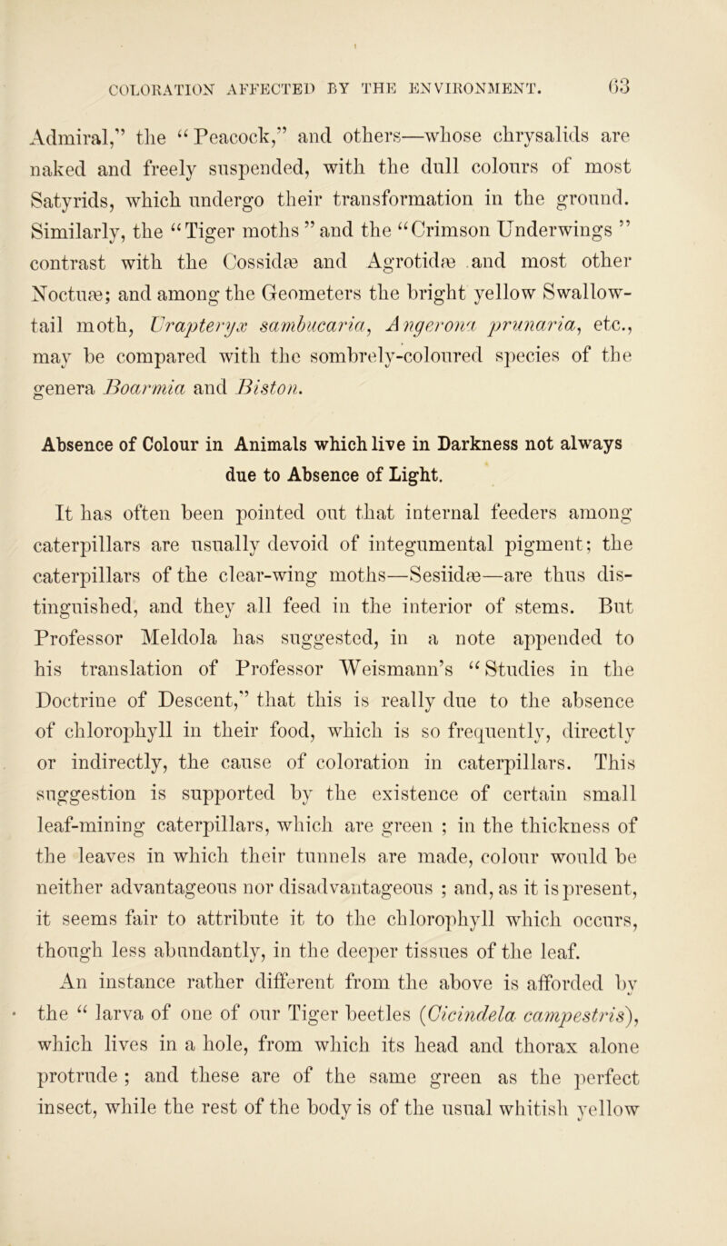 (33 Admiral,” the “ Peacock,” and others—whose chrysalids are naked and freely suspended, with the dull colours of most Satyrids, which undergo their transformation in the ground. Similarly, the “Tiger moths ”and the “Crimson Underwings ” contrast with the Cossidre and Agrotidre and most other Nocture; and among the Geometers the bright yellow Swallow- tail moth, Urapteryx sambucaria, Angerona prunaria, etc., may be compared with the sombrely-coloured species of the genera Boarmia and Biston. Absence of Colour in Animals which live in Darkness not always due to Absence of Light. It has often been pointed out that internal feeders among caterpillars are usually devoid of integumental pigment; the caterpillars of the clear-wing moths—Sesiidre—are thus dis- tinguished, and they all feed in the interior of stems. But Professor Meldola has suggested, in a note appended to his translation of Professor Weismann’s “Studies in the Doctrine of Descent,” that this is really due to the absence of chlorophyll in their food, which is so frequently, directly or indirectly, the cause of coloration in caterpillars. This suggestion is supported by the existence of certain small leaf-mining caterpillars, which are green ; in the thickness of the leaves in which their tunnels are made, colour would be neither advantageous nor disadvantageous ; and, as it is present, it seems fair to attribute it to the chlorophyll which occurs, though less abundantly, in the deeper tissues of the leaf. An instance rather different from the above is afforded bv %j * the “ larva of one of our Tiger beetles (Cicindela campestris), which lives in a hole, from which its head and thorax alone protrude ; and these are of the same green as the perfect insect, while the rest of the body is of the usual whitish yellow