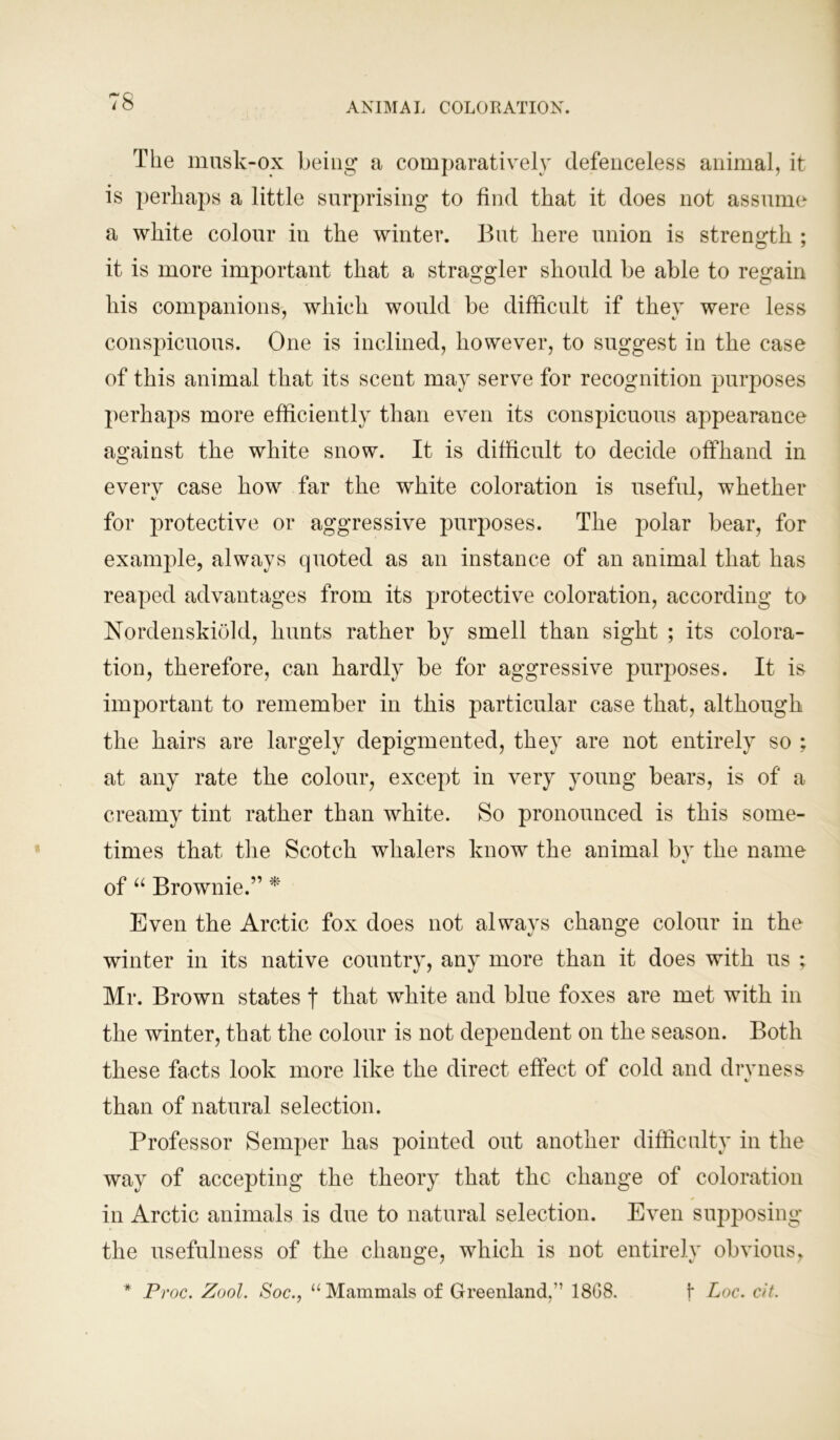 The musk-ox being a comparatively defenceless animal, it is perhaps a little surprising to find that it does not assume a white colour in the winter. But here union is strength ; it is more important that a straggler should be able to regain his companions, which would be difficult if they were less conspicuous. One is inclined, however, to suggest in the case of this animal that its scent may serve for recognition purposes perhaps more efficiently than even its conspicuous appearance against the white snow. It is difficult to decide offhand in every case how far the white coloration is useful, whether for protective or aggressive purposes. The polar bear, for example, always quoted as an instance of an animal that has reaped advantages from its protective coloration, according to Nordenskiold, hunts rather by smell than sight ; its colora- tion, therefore, can hardly be for aggressive purposes. It is important to remember in this particular case that, although the hairs are largely depigmented, they are not entirely so ; at any rate the colour, except in very young bears, is of a creamy tint rather than white. So pronounced is this some- times that the Scotch whalers know the animal by the name of “ Brownie.” * Even the Arctic fox does not alwavs change colour in the winter in its native country, any more than it does with us ; Mr. Brown states f that white and blue foxes are met with in the winter, that the colour is not dependent on the season. Both these facts look more like the direct effect of cold and dryness than of natural selection. Professor Semper has pointed out another difficulty in the way of accepting the theory that the change of coloration in Arctic animals is due to natural selection. Even supposing the usefulness of the change, which is not entirely obvious, * Proc. Zool. Soc., “Mammals of Greenland,” 18G8. 1* Loc. cit.