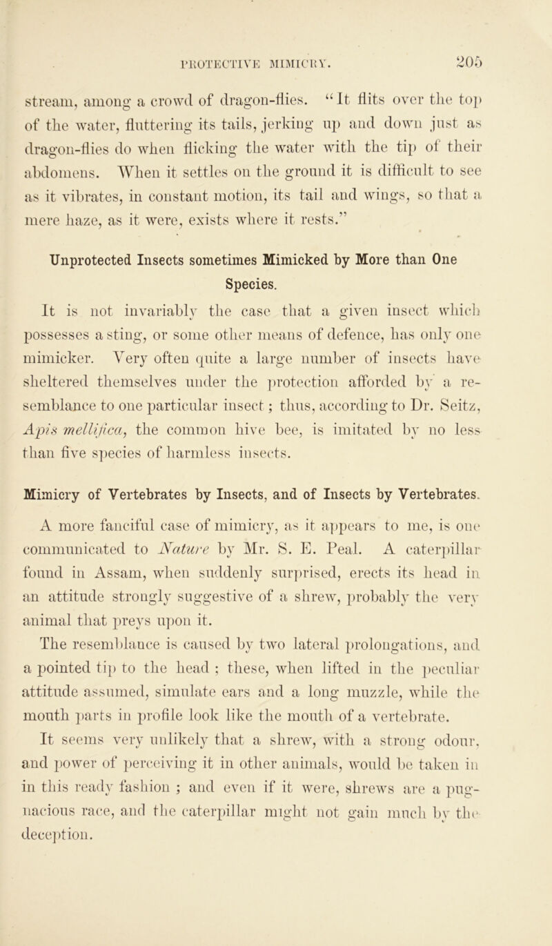 stream, among a crowd of dragon-flies. u It flits over the top of the water, fluttering its tails, jerking uj) and down just as dragon-flies do when flicking the water with the tip of their abdomens. When it settles on the ground it is difficult to see as it vibrates, in constant motion, its tail and wings, so fliat a mere haze, as it were, exists where it rests.” ■ Unprotected Insects sometimes Mimicked by More than One Species. It is not invariably the case that a given insect which possesses a sting, or some other means of defence, has only one mimicker. Very often quite a large number of insects have sheltered themselves under the protection afforded by a re- semblance to one particular insect; thus, according to Dr. Seitz, Apis mellifica, the common hive bee, is imitated by no less than five species of harmless insects. Mimicry of Vertebrates by Insects, and of Insects by Vertebrates. A more fanciful case of mimicry, as it appears to me, is one communicated to Nature by Mr. S. E. Peal. A caterpillar found in Assam, when suddenly surprised, erects its head in an attitude strongly suggestive of a shrew, probably the very animal that preys upon it. The resemblance is caused by two lateral prolongations, and a pointed tip to the head ; these, when lifted in the peculiar attitude assumed, simulate ears and a long muzzle, while the mouth parts in profile look like the mouth of a vertebrate. It seems very unlikely that a shrew, with a strong odour, and power of perceiving it in other animals, would be taken in in this ready fashion ; and even if it were, shrews are a pug- nacious race, and the caterpillar might not gain much by the deception.
