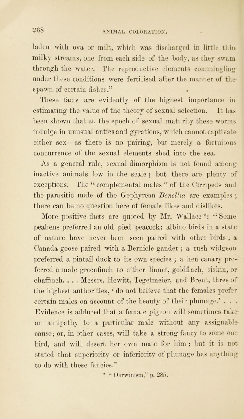 208 laden with ova or milt, which was discharged in little thin milky streams, one from each side of the body, as they swam through the water. The reproductive elements commingling under these conditions were fertilised after the manner of the spawn of certain fishes.” . These facts are evidently of the highest importance in estimating the value of the theory of sexual selection. It has been shown that at the epoch of sexual maturity these worms indulge in unusual antics and gyrations, which cannot captivate either sex—as there is no pairing, but merely a fortuitous concurrence of the sexual elements shed into the sea. As a general rule, sexual dimorphism is not found among inactive animals low in the scale ; but there are plenty of exceptions. The “ complemental males ” of the Cirripeds and the parasitic male of the Gephyrean Bonellia are examples ; there can be no question here of female likes and dislikes. More positive facts are quoted by Mr. Wallace*: u Some peahens preferred an old pied peacock; albino birds in a state of nature have never been seen paired with other birds ; a Canada goose paired with a Bernicle gander ; a rush widgeon preferred a pintail duck to its own species ; a hen canary pre- ferred a male greenfinch to either linnet, goldfinch, siskin, or chaffinch. . . . Messrs. Hewitt, Tegetmeier, and Brent, three of the highest authorities, 6 do not believe that the females prefer certain males on account of the beauty of their plumage.’ . . . Evidence is adduced that a female pigeon will sometimes take an antipathy to a particular male without any assignable cause; or, in other cases, will take a strong fancy to some one bird, and will desert her own mate for him ; but it is not stated that superiority or inferiority of plumage has anything to do with these fancies.” * “ Darwinism,” p. 285.