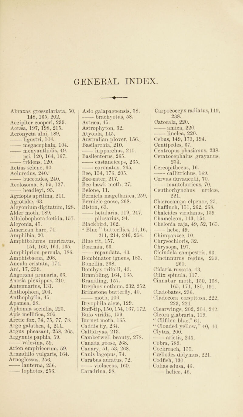 GENERAL INDEX. Abraxas grossulariata, 50, 148, 165, 202. Accipiter coopcri, 239. Acrasa, 197, 198, 215. Acronycta alni, 189. ligustri, 104. megacephala, 104. menyanthidis, 49. psi, 120, 164, 167. tridens, 120. Actias selene, 60. Aeluredus, 240.' buccoides, 240. Aeolosoma, 8, 95, 127. headleyi, 95. Agriopis aprilina, 211. Agrotidas, 63. Alcyonium digitatum, 128. Alder moth, 189. Allolobophora f oetida, 157. Alcyonia, 45. American hare, 74. Amphibia, 20. Amphibolurus mnricatus, 154, 160, 164, 165. Amphiprion percula, 186. Amphisbaena, 208. Ancula cristata, 174. Ani, 17, 239. Angerona prnnaria, 63. Anosia plexippus, 210. Antennarius, 131. Anthophora, 204. Anthophylla, 45. Apamea, 98. Aphomia sociella, 225. Apis mellifica, 205. Arctic fox. 74, 75, 77, 78. Arge galathea, 4, 211. Argus pheasant, 258, 265. Argynnis paphia, 59. valezina, 59. Arion empiricorum. 59. Armadillo vulgaris, 164. Arnoglossus, 256. lanterna, 256. lophotes, 256. Asio galapagocnsis, 58. brachyotus. 58. Astrasa, 45. Astropliyton, 32. Atyoida, 145. Australian plover, 156. Basilarchia, 210. hipparchus, 210. , Basileuterus, 265. ■ castaneiceps, 265. coronatus, 265. Bee, 154, 176, 205. j Bee-eater, 217. Bee hawk moth, 27. i Belone, 11. Bernicla magellanica, 259. Bernicle goose, 268. Biston, 63. betularia, 119, 247. - pilosarius, 94. Blackbird, 162. ; “ Blue ” butterflies, 14,16, 211, 214, 246, 254. Blue tit, 157. Boarmia, 63. repandata, 43. Bombinator igneus, 183. Bonellia, 268. Bombyx trifolii, 43. ; Brambling, 164, 165. Brandling, 157. Brephos nothum, 232,252. Brimstone butterfly, 40. moth, 106. Bryophila algfe, 129. Buff-tip, 150,154, 167,172. Bufo viridis, 159. Burnet moth. 165. Caddis fly, 234. Callidryas, 213. Camberwell beauty, 278. Canada goose, 268. Canary, 51, 53, 268. Canis lagopus, 74. Carabus auratus, 72. violaceus, 160. Caradrina, 98. Carpococcyx radiatus, 149, 238. Catocala, 220. arnica, 220. linelea, 220. Cebus, 149, 173, 194. Centipedes, 67. Centropus phasianus, 238. Ceratocephalus grayanus. 254. Cercopithecus, 16. callitrichus, 149. Cervus duvaucelli, 70. mantcliuricus, 70. Ceuthorhynchns urticre. 221. Ch:erocampa elpenor, 23. Chaffinch, 151, 262, 268. Chalcides viridanus, 159. Chameleon, 143, 154. Chelonia caja, 49, 52, 165. hebe, 49. Chimpanzee, 10. Chrysochloris, 32. Chrysopa, 197. Cicindela campestris, 63. Cincinnurns regius, 259, 260. Cidaria russata, 43. Cilix spinula, 117. Cinnabar moth, 150, 158, 165, 171. 180, 191. Cladobates, 236. Cladocora coespitosa. 222. 223, 224. Cleanvings, 202, 204, 242. Cleora glabraria, 119. “ Clifden blue,” 61. “ Clouded yellow,” 40, 46. Clytus, 200. arietis, 245. Cobra, 182. Cockroach, 155. Coeliodes dulymus, 221. Codfish, 130. Colias edusa, 46. helice, 46.