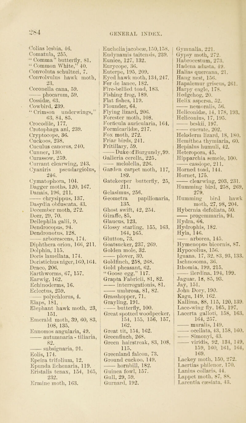 Colias lesbia, 46. Comatula, 255. Comma” butterfly, 81. Common White,” 40. Convoluta schultzei, 7. Convolvulus hawk moth, 23. Coronella cana, 59. phocarum, 59. Cossidas, 63. Cowbird, 239. li Crimson under wings,” ( 63, 84, 85. Crocodile, 177. Crotophaga ani, 239. Cryptocope, 36. Cuckoos. 238. Cuculus canorus, 240. Cunner, 130. Curassow, 259. Currant clearwing, 243. Cyaniris pseudargiolus, ' 246. Cymatophora, 104. Dagger moths, 120, 167. Danais, 196. 211. chrysippus, 137. Dasydia obfuscata, 43. December moth, 272. Deer, 29, 70. Deilephila galii, 9. Dendrocopus, 94. Dendronotus. 128. — arborescens, 174. Diphthera orion, 166, 211. Dolphin, 115. Doris lamellata, 174. Doristichus niger, 160,164. Draco, 206. Earthworms, 67, 157. Earwig, 162. Echinoderms, 16. Eclectus, 259. polychlorus, 4. Elaps, 181. Elephant hawk moth, 23, 151. Emerald moth, 39, 60, 83. 108, 135. Ennomos angularia, 49. autumnaria - tiliaria, 82. subsignaria, 91. Eolis, 174. Epeira trifolium, 12. Epunda lichenaria, 119. Eristalis tenax, 154, 165, 232. Ermine moth, 163. Euchelia jacobcte, 150,158. Eudynamis taitensis, 239. Eunice, 127, 132. Eurycope, 36. Euterpe, 195, 209. Eyed hawk moth, 134,247. Eer de lance, 182. Fire-bellied toad, 183. Fishing frog, 189. Flat fishes, 119. Flounder, 64. Flying lizard, 206. Forester moth, 108. Forficula auricularia, 164. j Formicariidas, 217. Fox moth, 272. Friar birds, 241. Fritillary, 59. Dukeof Burgundv,99. Galleria cerella, 225. —— melolella, 226. Garden carpet moth, 117, 189. Gatekeeper butterfly, 25, 1 211. Gelasimus, 256. Geometra papilionaria, 135. Ghost swift, 42, 254. Giraffe, 85. Glaucus, 123. Glossy starling, 155, 163, i * 164, 165. Glutton, 73. Goatsucker, 237, 269. Golden mole, 32. plover, 30. Goldfinch, 258, 268. Gold pheasant, 62. “ Goose egg.” 117. Grapta Fabricii, 81, 82. interrogationis, 81. umbrosa, 81, 82. Grasshopper, 71. Grayling, 191. butterfly, 100. Great spotted woodpecker, 154, 155, 156, 157, 162. Great tit, 154, 162. Greenfinch, 268. Green hairstreak, 83, 108, 115. Greenland falcon, 73. Ground cuckoo. 149. hombill, 182. Guinea fowl, 157. Gull, 29, 59. Gurnard. 192. Gymnalia, 221. Gypsy moth, 272. Habrocestum, 273. Hadena adusta, 49. Halias quercana, 21. Hang nest, 156. Hapalemur griseus, 261. Harpy eagle, 178. Hedgehog, 20. Helix aspersa, 52. nemoralis, 56. Heliconidae, 14, 178, 193. Heliconius, 17, 195. beskii, 197. • eucratc, 202. Heloderm lizard, 18, 180. Hemithea thvmiaria, 60. Hepialus humuli, 42. Heteropora, 45. Hipparchia semele, 100. cassiope, 211. Horned toad, 144. Hornet, 175. clearwing, 203. 231. Humming bird, 258, 269, 279. Humming bird hawk moth, 27, 98, 204. Hybernia defoliata, 50. progemmaria, 94. Hydra, 66. Hydrophis, 182. Hyla, 146. I arborea, 145. Hymenopus bicornis, 87. Hypocolius, 156. Iguana. 17, 32. 83, 93, 133. Ischnosoma, 36. Itboraia. 199, 215. ilerdina, 194, 199. Jaguar, 18, 85, 93. Jay, 151. John Dory, 190. Kagu, 149. 162. Kallima, 88, 115, 120, 139. Lace-wing fly. 165, 197. Lacerta gal loti. 158, 163. 164, 257. mural is, 149. ocellata, 43. 158, 160. Simonyi, 43. viridis, 92, 134, 149, 159, 160, 161, 164, 169. Lackey moth, 150. 272. Laertias philenor. 170. 1 Lanius collaris, 44. Lappet moth. 87, 88. I Larentia cresiata. 43.