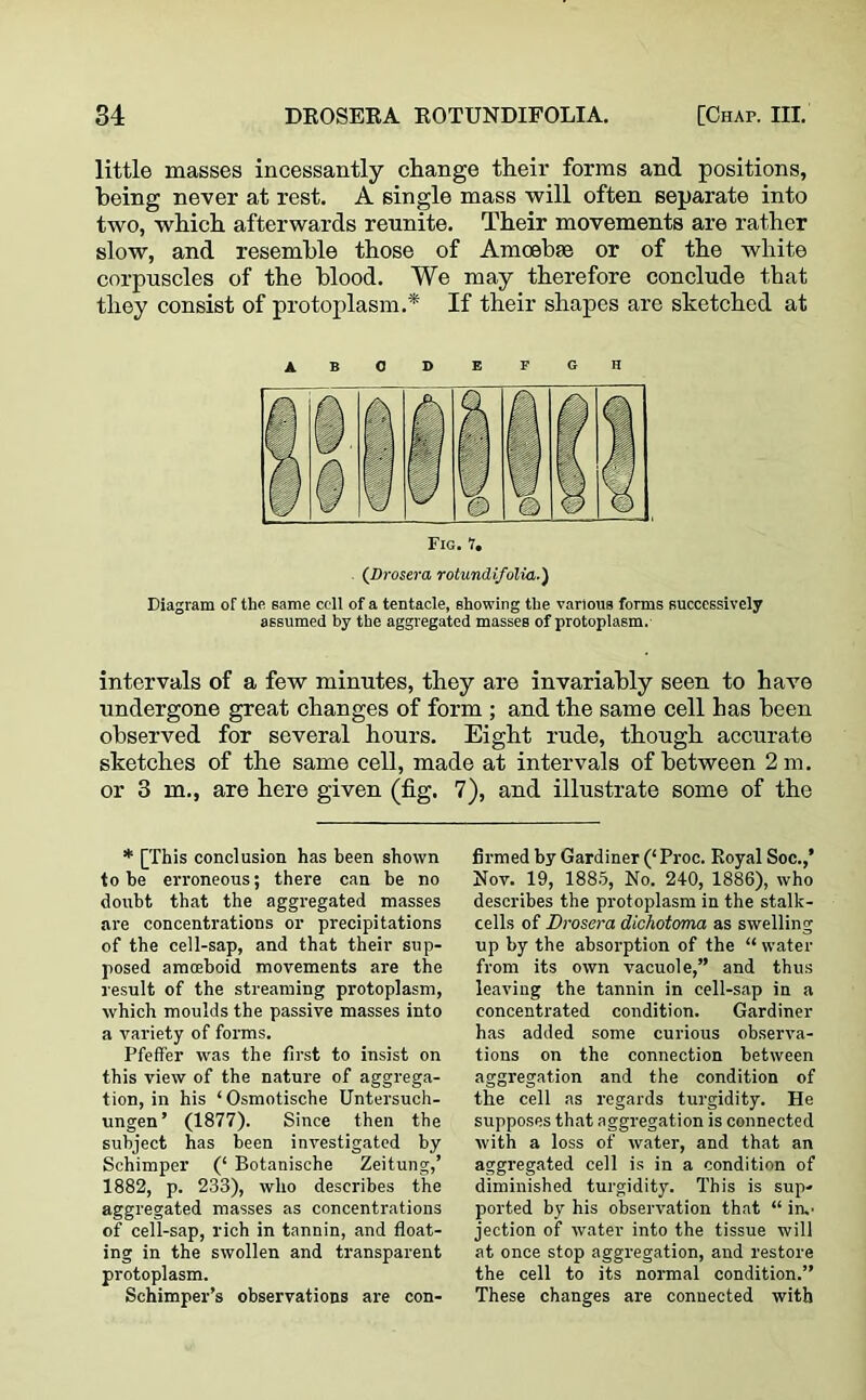 little masses incessantly change their forms and positions, being never at rest. A single mass will often separate into two, which afterwards reunite. Their movements are rather slow, and resemble those of Amoebae or of the white corpuscles of the blood. We may therefore conclude that they consist of protoplasm.* If their shapes are sketched at abodbfgh (Drosera rotundifolia.) Diagram of the 6ame cell of a tentacle, showing the various forms successively assumed by the aggregated masses of protoplasm. intervals of a few minutes, they are invariably seen to have undergone great changes of form ; and the same cell has been observed for several hours. Eight rude, though accurate sketches of the same cell, made at intervals of between 2 m. or 3 m., are here given (fig. 7), and illustrate some of the * [This conclusion has been shown to be erroneous; there can be no doubt that the aggregated masses are concentrations or precipitations of the cell-sap, and that their sup- posed amoeboid movements are the result of the streaming protoplasm, which moulds the passive masses into a variety of forms. Pfeffer was the first to insist on this view of the nature of aggrega- tion, in his ‘Osmotische Untersuch- ungen’ (1877). Since then the subject has been investigated by Schimper (‘ Botanische Zeitung,’ 1882, p. 233), who describes the aggregated masses as concentrations of cell-sap, rich in tannin, and float- ing in the swollen and transparent protoplasm. Schimper’s observations are con- firmed by Gardiner (‘Proc. Royal Soc.,’ Nov. 19, 1885, No. 240, 1886), who describes the protoplasm in the stalk- cells of Drosera dichotoma as swelling up by the absorption of the “ water from its own vacuole,” and thus leaving the tannin in cell-sap in a concentrated condition. Gardiner has added some curious observa- tions on the connection between aggregation and the condition of the cell as regards turgidity. He supposes that aggregation is connected with a loss of water, and that an aggregated cell is in a condition of diminished turgidity. This is sup- ported by his observation that “ in.' jection of water into the tissue will at once stop aggregation, and restore the cell to its normal condition.” These changes are connected with