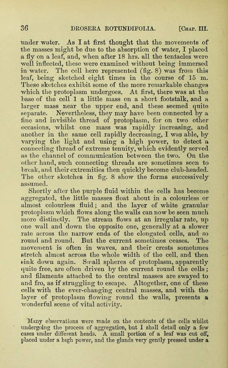 tinder wuter. As I at first thought that the movements of the masses might he due to the absorption of water, I placed a fly on a leaf, and, when after 18 hrs. all the tentacles were well inflected, these were examined without being immersed in water. The cell here represented (fig. 8) was from this leaf, being sketched eight times in the course of 15 m. These sketches exhibit some of the more remarkable changes which the protoplasm undergoes. At first, there was at the base of the cell 1 a little mass on a short footstalk, and a larger mass near the upper end, and these seemed quite separate. Nevertheless, they may have been connected by a fine and invisible thread of protoplasm, for on two other occasions, whilst one mass was rapidly increasing, and another in the same cell rapidly decreasing, I was able, by varying the light and using a high power, to detect a connecting thread of extreme tenuity, which evidently served as the channel of communication between the two. On the other hand, such connecting threads are sometimes seen to break, and their extremities then quickly become club-headed. The other sketches in fig. 8 show the forms successively assumed. Shortly after the purple fluid within the cells has become aggregated, the little masses float about in a colourless or almost colourless fluid; and the layer of white granular protoplasm which flows along the walls can now be seen much more distinctly. The stream flows at an irregular rate, up one wall and down the opposite one, generally at a slower rate across the narrow ends of the elongated cells, and so round and round. But the current sometimes ceases. The movement is often in waves, and their crests sometimes stretch almost across the whole width of the cell, and then sink down again. Small spheres of protoplasm, apparently quite free, are often driven by the current round the cells ; and filaments attached to the central masses are swayed to and fro, as if struggling to escape. Altogether, one of these cells with the ever-changing central masses, and with the layer of protoplasm floiving round the walls, presents a wonderful scene of vital activity. Many observations were made on the contents of the cells whilst undergoing the process of aggregation, hut I shall detail only a few cases under different heads. A small portion of a leaf was cut off, placed under a high power, and the glands very gently pressed under a