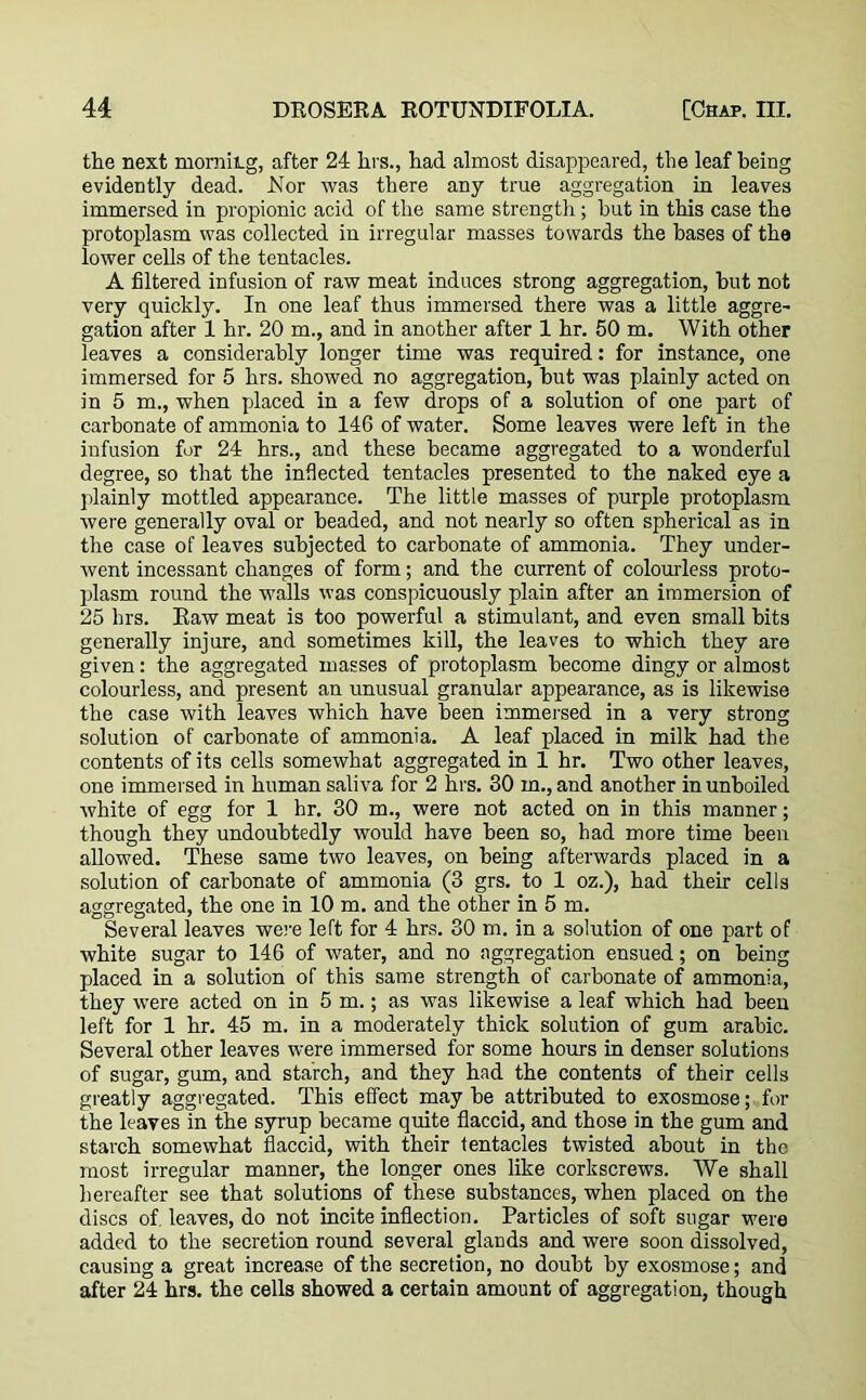 the next morniLg, after 24 lirs., had almost disappeared, the leaf being evidently dead. Nor was there any true aggregation in leaves immersed in propionic acid of the same strength; but in this case the protoplasm was collected in irregular masses towards the bases of the lower cells of the tentacles. A filtered infusion of raw meat induces strong aggregation, but not very quickly. In one leaf thus immersed there was a little aggre- gation after 1 hr. 20 m., and in another after 1 hr. 50 m. With other leaves a considerably longer time was required: for instance, one immersed for 5 hrs. showed no aggregation, but was plainly acted on in 5 m., when placed in a few drops of a solution of one part of carbonate of ammonia to 146 of water. Some leaves were left in the infusion for 24 hrs., and these became aggregated to a wonderful degree, so that the inflected tentacles presented to the naked eye a plainly mottled appearance. The little masses of purple protoplasm were generally oval or beaded, and not nearly so often spherical as in the case of leaves subjected to carbonate of ammonia. They under- went incessant changes of form; and the current of colourless proto- plasm round the walls was conspicuously plain after an immersion of 25 hrs. Eaw meat is too powerful a stimulant, and even small bits generally injure, and sometimes kill, the leaves to which they are given: the aggregated masses of protoplasm become dingy or almost colourless, and present an unusual granular appearance, as is likewise the case with leaves which have been immersed in a very strong solution of carbonate of ammonia. A leaf placed in milk had the contents of its cells somewhat aggregated in 1 hr. Two other leaves, one immersed in human saliva for 2 hrs. 30 in., and another in unboiled white of egg for 1 hr. 30 m., were not acted on in this manner; though they undoubtedly would have been so, had more time been allowed. These same two leaves, on being afterwards placed in a solution of carbonate of ammonia (3 grs. to 1 oz.), had their cells aggregated, the one in 10 m. and the other in 5 m. Several leaves were left for 4 hrs. 30 m. in a solution of one part of white sugar to 146 of water, and no aggregation ensued; on being placed in a solution of this same strength of carbonate of ammonia, they were acted on in 5 m.; as was likewise a leaf which had been left for 1 hr. 45 m. in a moderately thick solution of gum arabic. Several other leaves were immersed for some hours in denser solutions of sugar, gum, and starch, and they had the contents of their cells greatly aggregated. This effect may be attributed to exosmose; for the leaves in the syrup became quite flaccid, and those in the gum and starch somewhat flaccid, with their tentacles twisted about in the most irregular manner, the longer ones like corkscrews. We shall hereafter see that solutions of these substances, when placed on the discs of leaves, do not incite inflection. Particles of soft sugar were added to the secretion round several glands and were soon dissolved, causing a great increase of the secretion, no doubt by exosmose; and after 24 hrs. the cells showed a certain amount of aggregation, though