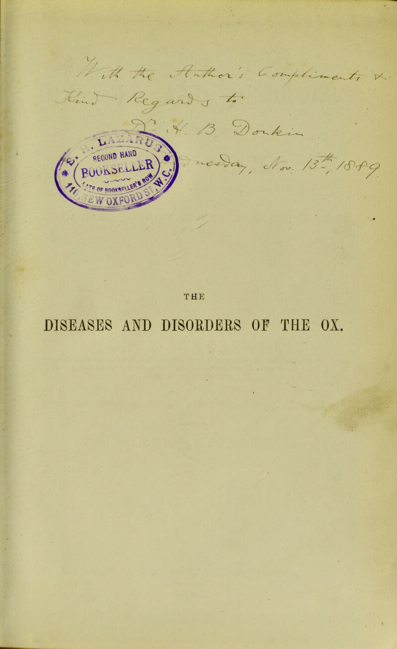 THE DISEASES AND DISORDERS OF THE OX.