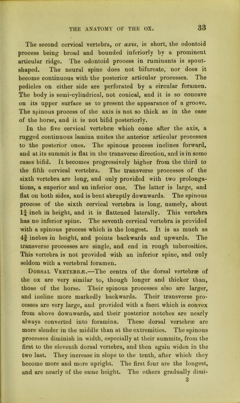 The second cervical vertebra, or axis, is short, the odontoid process being broad and bounded interiorly by a prominent articular ridge. The odontoid process in ruminants is spout- shaped. The neural spine does not bifurcate, nor does it become continuous with the posterior articular processes. The pedicles on either side are perforated by a circular foramen. The body is semi-cylindrical, not conical, and it is so concave on its upper surface as to present the appearance of a groove. The spinous process of the axis is not so thick as in the case of the horse, and it is not bifid posteriorly. In the five cervical vertebrae which come after the axis, a rugged continuous lamina unites the anterior articular processes to the posterior ones. The spinous process inclines forward, and at its summit is flat in the transverse direction, and is in some cases bifid. It becomes progressively higher from the third to the fifth cervical vertebra. The transverse processes of the sixth vertebra are long, and only provided with two prolonga- tions, a superior and an inferior one. The latter is large, and flat on both sides, and is bent abruptly downwards. The spinous process of the sixth cervical vertebra is long, namely, about 1J inch in height, and it is flattened laterally. This vertebra has no inferior spine. The seventh cervical vertebra is provided with a spinous process which is the longest. It is as much as 4§ inches in height, and points backwards and upwards. The transverse processes are single, and end in rough tuberosities. This vertebra is not provided with an inferior spine, and only seldom with a vertebral foramen. Dorsal Vertebra.—The centra of the dorsal vertebrae of the ox are very similar to, though longer and thicker than, those of the horse. Their spinous processes also are larger, and incline more markedly backwards. Their transverse pro- cesses are very large, and provided with a facet which is convex from above downwards, and their posterior notches are nearly always converted into foramina. These dorsal vertebrae are more slender in the middle than at the extremities. The spinous processes diminish in width, especially at their summits, from the first to the eleventh dorsal vertebra, and then agaiu widen in the two last. They increase in slope to the tenth, after which they become more and more upright. The first four are the longest, and are nearly of the same height. The others gradually dimi- 3