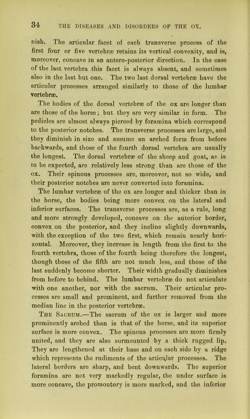 nish. The articular facet of each transverse process of the first four or five vertebrae retains its vertical convexity, and is, moreover, concave in an antero-posterior direction. In the case of the last vertebra this facet is always absent, and sometimes also in the last but one. The two last dorsal vertebrae have the articular processes arranged similarly to those of the lumbar vertebrae. The bodies of the dorsal vertebrae of the ox are longer than are those of the horse; but they are very similar in form. The pedicles are almost always pierced by foramina which correspond to the posterior notches. The transverse processes are large, and they diminish in size and assume an arched form from before backwards, and those of the fourth dorsal vertebra are usually the longest. The dorsal vertebrae of the sheep and goat, as is to be expected, are relatively less strong than are those of the ox. Their spinous processes are, moreover, not so wide, and their posterior notches are never converted into foramina. The lumbar vertebrae of the ox are longer and thicker than in the horse, the bodies being more convex on the lateral and inferior surfaces. The transverse processes are, as a rule, long and more strongly developed, concave on the anterior border, convex on the posterior, and they incline slightly downwards, with the exception of the two first, which remain nearly hori- zontal. Moreover, they increase in length from the first to the fourth vertebra, those of the fourth being therefore the longest, though those of the fifth are not much less, and those of the last suddenly become shorter. Their width gradually diminishes from before to behind. The lumbar vertebrae do not articulate with one another, nor with the sacrum. Their articular pro- cesses are small and prominent, and further removed from the median line in the posterior vertebi’ae. The Sacrum.—The sacrum of the ox is larger and more prominently arched than is that of the horse, and its superior surface is more convex. The spinous processes are more firmly united, and they are also surmounted by a thick rugged lip. They are lengthened at their base and on each side by a ridge which represents the rudiments of the articular processes. The lateral borders are sharp, and bent downwards. The superior foramina are not very markedly regular, the under surface is more concave, the promontory is more marked, and the inferior