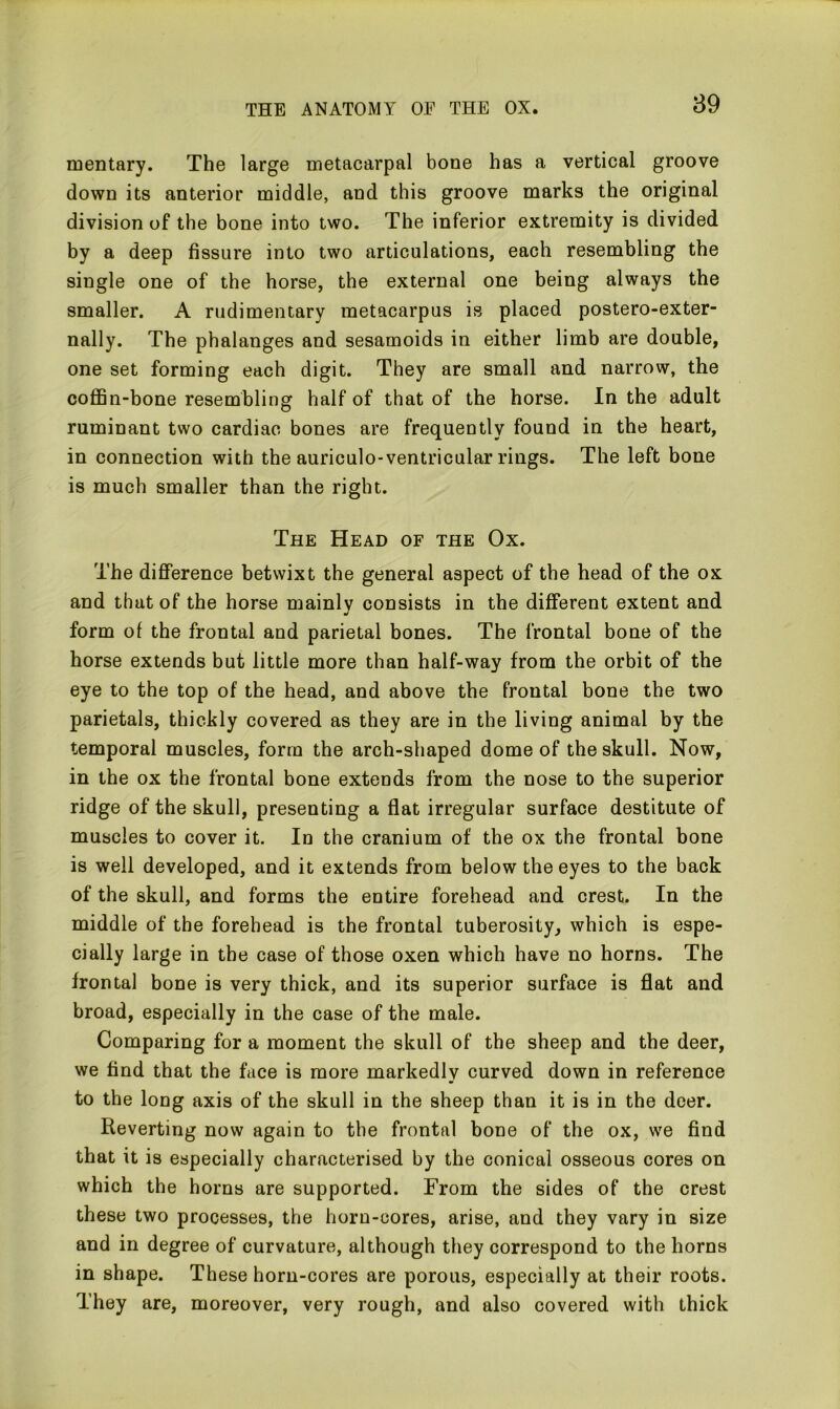 mentary. The large metacarpal bone has a vertical groove down its anterior middle, and this groove marks the original division of the bone into two. The inferior extremity is divided by a deep fissure into two articulations, each resembling the single one of the horse, the external one being always the smaller. A rudimentary metacarpus is placed postero-exter- nally. The phalanges and sesamoids in either limb are double, one set forming each digit. They are small and narrow, the coffin-bone resembling half of that of the horse. In the adult ruminant two cardiac bones are frequently found in the heart, in connection with the auriculo-ventricular rings. The left bone is much smaller than the right. The Head of the Ox. The difference betwixt the general aspect of the head of the ox and that of the horse mainlv consists in the different extent and w form of the frontal and parietal bones. The frontal bone of the horse extends but little more than half-way from the orbit of the eye to the top of the head, and above the frontal bone the two parietals, thickly covered as they are in the living animal by the temporal muscles, form the arch-shaped dome of the skull. Now, in the ox the frontal bone extends from the nose to the superior ridge of the skull, presenting a flat irregular surface destitute of muscles to cover it. In the cranium of the ox the frontal bone is well developed, and it extends from below the eyes to the back of the skull, and forms the entire forehead and crest. In the middle of the forehead is the frontal tuberosity, which is espe- cially large in the case of those oxen which have no horns. The frontal bone is very thick, and its superior surface is flat and broad, especially in the case of the male. Comparing for a moment the skull of the sheep and the deer, we find that the face is more markedly curved down in reference to the long axis of the skull in the sheep than it is in the deer. Reverting now again to the frontal bone of the ox, we find that it is especially characterised by the conical osseous cores on which the horns are supported. From the sides of the crest these two processes, the horn-cores, arise, and they vary in size and in degree of curvature, although they correspond to the horns in shape. These horn-cores are porous, especially at their roots. They are, moreover, very rough, and also covered with thick