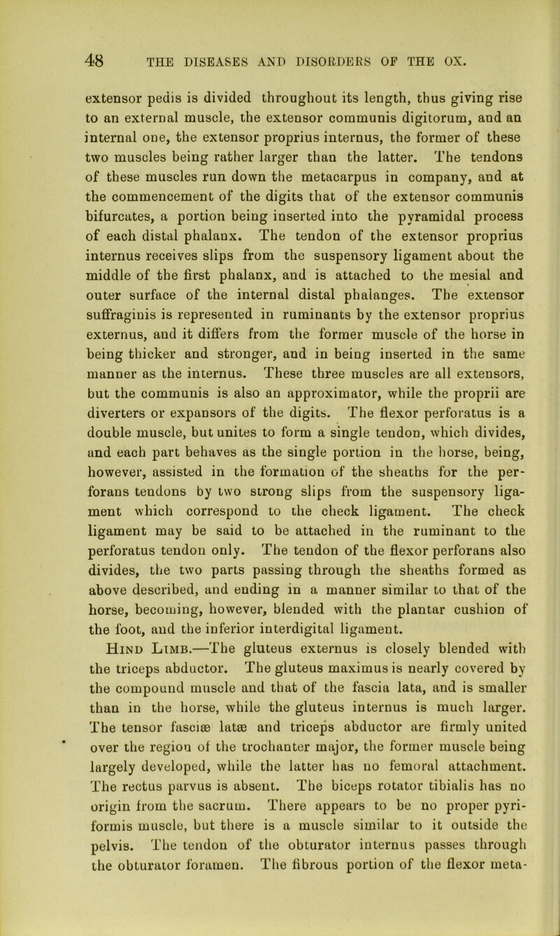 extensor pedis is divided throughout its length, thus giving rise to an external muscle, the extensor communis digitorum, and an internal one, the extensor proprius internus, the former of these two muscles being rather larger than the latter. The tendons of these muscles run down the metacarpus in company, and at the commencement of the digits that of the extensor communis bifurcates, a portion being inserted into the pyramidal process of each distal phalanx. The tendon of the extensor proprius internus receives slips from the suspensory ligament about the middle of the first phalanx, and is attached to the mesial and outer surface of the internal distal phalanges. The extensor suffraginis is represented in ruminants by the extensor proprius externus, and it differs from the former muscle of the horse in being thicker and stronger, and in being inserted in the same manner as the internus. These three muscles are all extensors, but the communis is also an approximator, while the proprii are diverters or expansors of the digits. The flexor perforatus is a double muscle, but unites to form a single tendon, which divides, and each part behaves as the single portion in the horse, being, however, assisted in the formation of the sheaths for the per- forans tendons by two strong slips from the suspensory liga- ment which correspond to the check ligament. The check ligament may be said to be attached in the ruminant to the perforatus tendon only. The tendon of the flexor perforans also divides, the two parts passing through the sheaths formed as above described, and ending in a manner similar to that of the horse, becoming, however, blended with the plantar cushion of the foot, and the inferior interdigital ligament. Hind Limb.—The gluteus externus is closely blended with the triceps abductor. The gluteus maximusis nearly covered by the compound muscle and that of the fascia lata, and is smaller than in the horse, while the gluteus internus is much larger. The tensor fasciae latse and triceps abductor are firmly united over the region of the trochanter major, the former muscle being largely developed, while the latter has no femoral attachment. The rectus parvus is absent. The biceps rotator tibialis has no origin from the sacrum. There appears to be no proper pyri- formis muscle, but there is a muscle similar to it outside the pelvis. The tendon of the obturator internus passes through the obturator foramen. The fibrous portion of the flexor meta-