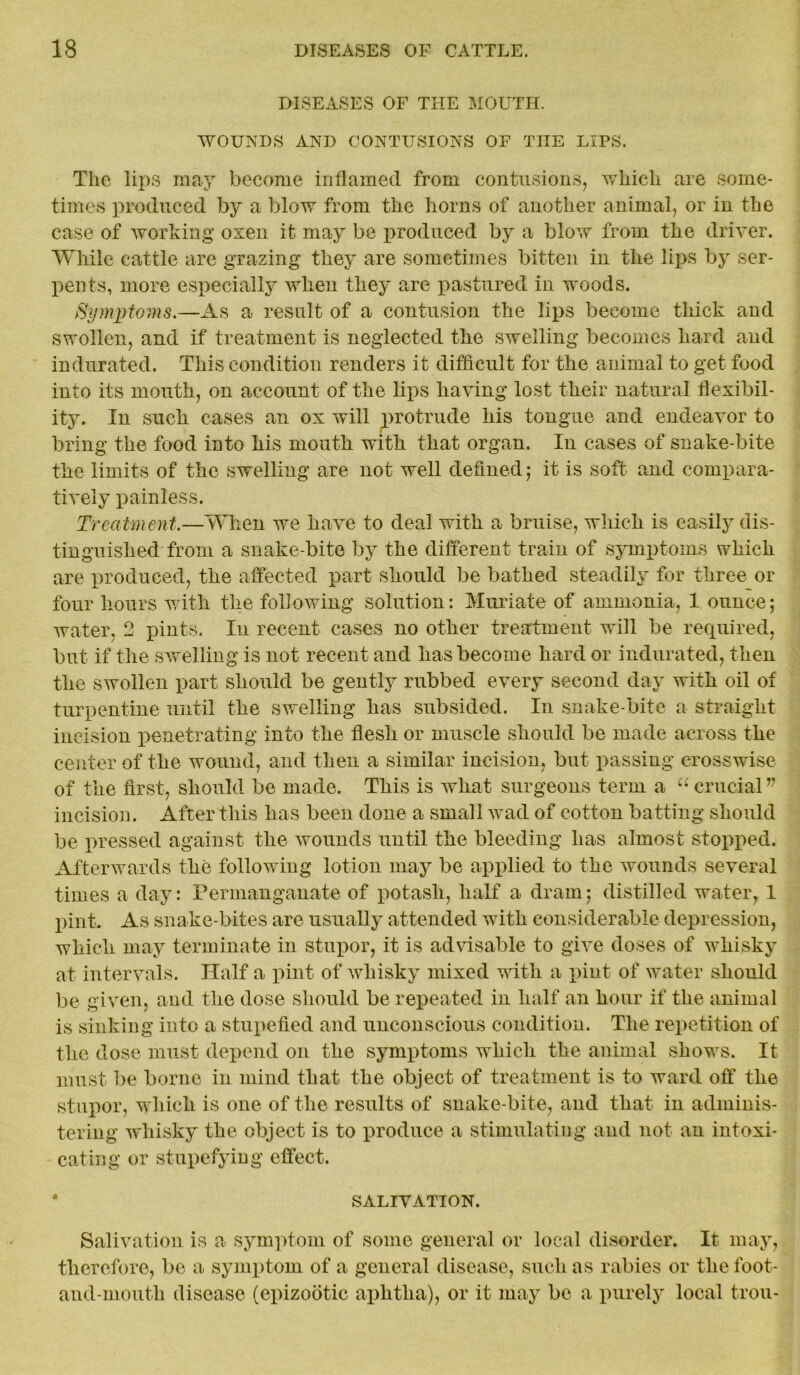 DISEASES OF THE MOUTH. WOUNDS AND CONTUSIONS OF THE LIPS. The lips may become inflamed from contusions, which are some- times produced by a blow from the horns of another animal, or in the case of working oxen it may be produced by a blow from the driver. While cattle are grazing they are sometimes bitten in the lips by ser- pents, more especially when they are pastured in woods. Symptoms.—As a result of a contusion the lips become thick and swollen, and if treatment is neglected the swelling becomes hard and indurated. This condition renders it difficult for the animal to get food into its mouth, on account of the lips having lost their natural flexibil- ity. In such cases an ox will protrude his tongue and endeavor to bring the food into his mouth with that organ. In cases of snake-bite the limits of the swelling are not well defined 5 it is soft and compara- tively painless. Treatment.—When we have to deal with a bruise, which is easily dis- tinguished from a snake-bite by the different train of symptoms which are produced, the affected part should be bathed steadily for three or four hours with the following solution: Muriate of ammonia, 1 ounce; water, 2 pints. In recent cases no other treatment will be required, but if the swelling is not recent and has become hard or indurated, then the swollen part should be gently rubbed every second day with oil of turpentine until the swelling has subsided. In snake-bite a straight incision penetrating into the flesh or muscle should be made across the center of the wound, and then a similar incision, but passing crosswise of the first, should be made. This is what surgeons term a “ crucial’7 incision. After this has been done a small wad of cotton batting should be pressed against the wounds until the bleeding has almost stopped. Afterwards the following lotion may be applied to the wounds several times a day: Permanganate of potash, half a dram; distilled water, 1 pint. As snake-bites are usually attended with considerable depression, which may terminate in stupor, it is advisable to give doses of whisky at intervals. Half a pint of whisky mixed with a pint of water should be given, and the dose should be repeated in half an hour if the animal is sinking into a stupefied and unconscious condition. The repetition of the dose must depend on the symptoms which the animal shows. It must be borne in mind that the object of treatment is to ward off the stupor, which is one of the results of snake-bite, and that in adminis- tering whisky the object is to produce a stimulating and not an intoxi- cating or stupefying effect. SALIVATION. Salivation is a symptom of some general or local disorder. It may, therefore, be a symptom of a general disease, such as rabies or the foot- and-mouth disease (epizootic aphtha), or it may be a purely local trou-