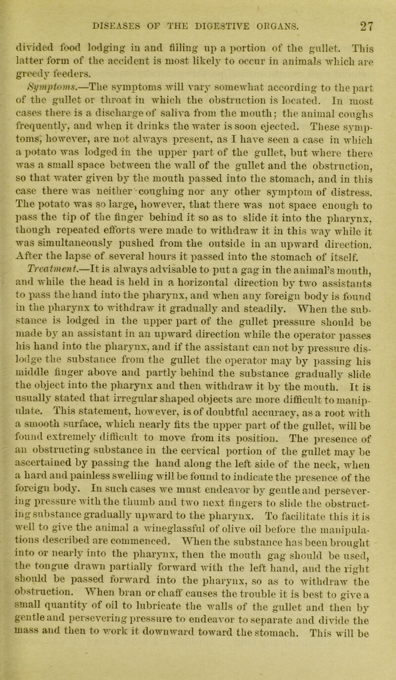 divided food lodging in and filling up a portion of the gullet. This latter form of the accident is most likely to occur in animals which are greedy feeders. Symptoms.—The symptoms will vary somewhat according to the part of the gullet or throat in which the obstruction is located. In most cases there is a discharge of saliva from the mouth; the animal coughs frequently, and when it drinks the water is soon ejected. These symp- toms, however, are not always present, as I have seen a case in which a potato was lodged in the upper part of the gullet, but where there was a small space between the wall of the gullet and the obstruction, so that water given by the mouth passed into the stomach, and in this case there was neither-coughing nor any other symptom of distress. The potato was so large, however, that there was not space enough to pass the tip of the finger behind it so as to slide it into the pharynx, though repeated efforts were made to withdraw it in this way while it was simultaneously pushed from the outside in an upward direction. After the lapse of several hours it passed into the stomach of itself. Treatment.—It is always advisable to put a gag in the animal’s mouth, and while the head is held in a horizontal direction by two assistants to pass the hand into the pharynx, and when any foreign body is found in the pharynx to withdraw it gradually and steadily. When the sub- stance is lodged in the upper part of the gullet pressure should be made by an assistant in an upward direction while the operator passes his hand into the pharynx, and if the assistant cannot by pressure dis- lodge the substance from the gullet the operator may by passing his middle finger above and partly behind the substance gradually slide the object into the pharynx and then withdraw it by the mouth. It is usually stated that irregular shaped objects are more difficult to manip- ulate. This statement, however, is of doubtful accuracy, as a root with a smooth surface, which nearly fits the upper part of the gullet, will be found extremely difficult to move from its position. The presence of an obstructing substance in the cervical portion of the gullet may be ascertained by passing the hand along the left side of the neck, when a hard and painless swelling will be found to indicate the presence of the foreign body. In such cases we must endeavor by gentle and persever- ing pressure with the thumb and two next fingers to slide the obstruct- ing substance gradually upward to the pharynx. To facilitate this it is well to give the animal a wineglassful of olive oil before the manipula- tions described are commenced. When the substance has been brought into or nearly into the pharynx, then the mouth gag should be used, the tongue drawn partially forward with the left hand, and the right should be passed forward into the pharynx, so as to withdraw the obstruction. When bran or chaff causes the trouble it is best to give a small quantity of oil to lubricate the walls of the gullet and then by gentle and persevering pressure to endeavor to separate and divide the mass and then to work it downward toward the stomach. This will be