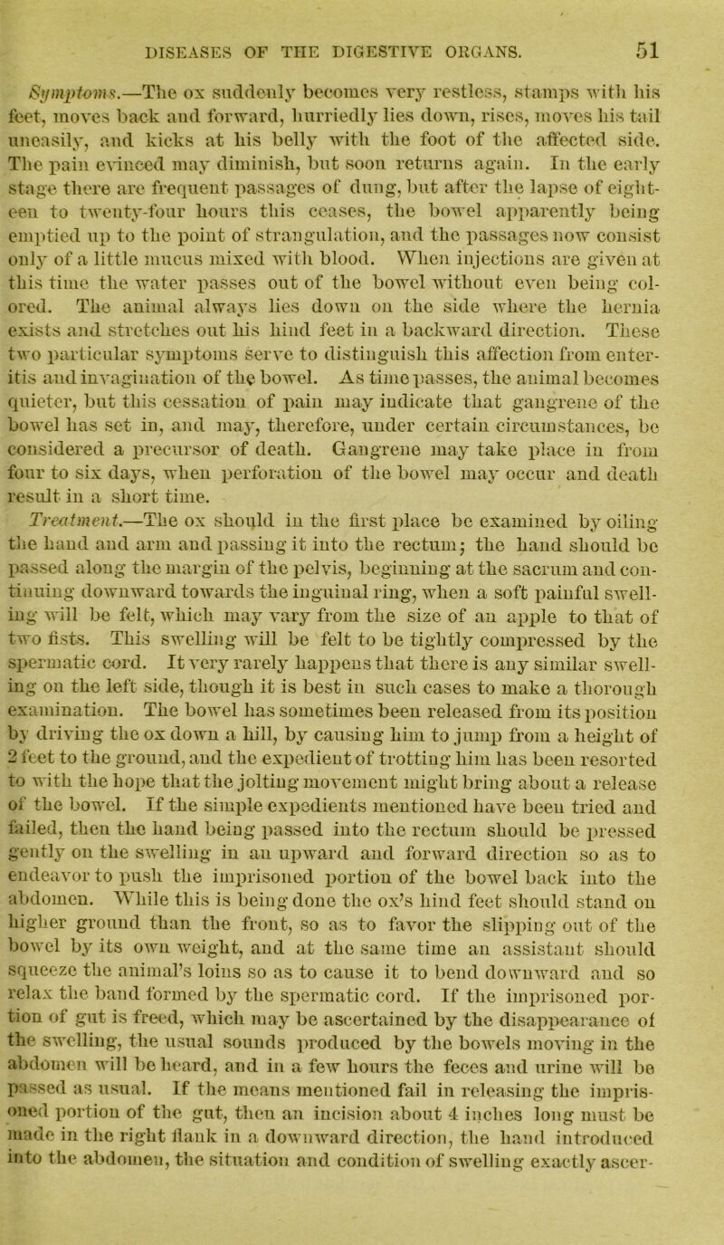 Symptoms.—The ox suddenly becomes very restless, stamps with his feet, moves back and forward, hurriedly lies down, rises, moves his tail uneasily, and kicks at his belly with the foot of the affected side. The pain evinced may diminish, but .soon returns again. In the early stage there are frequent passages of dung, but after the lapse of eight- een to twenty-four hours this ceases, the bowel apparently being emptied up to the point of strangulation, and the passages now consist only of a little mucus mixed with blood. When injections are given at this time the water passes out of the bowel without even being col- ored. The animal always lies down on the side where the hernia exists and stretches out his hind feet in a backward direction. These two particular symptoms serve to distinguish this affection from enter- itis and invagination of the bowel. As time passes, the animal becomes quieter, but this cessation of pain may indicate that gangrene of the bowel has set in, and may, therefore, under certain circumstances, be considered a precursor of death. Gangrene may take place in from four to six days, when perforation of the bowel may occur and death result in a short time. Treatment.—The ox should in the first place be examined by oiling the hand and arm and passing it into the rectum • the hand should be passed along the margin of the pelvis, beginning at the sacrum and con- tinuing downward towards the inguinal ring, when a soft painful swell- ing will be felt, which may vary from the size of an apple to that of two fists. This swelling will be felt to be tightly compressed by the spermatic cord. It very rarely happens that there is any similar swell- ing on the left side, though it is best in such cases to make a thorough examination. The bowel has sometimes been released from its position by driving the ox down a hill, by causing him to jump from a height of 2 feet to the ground, and the expedient of trotting him has been resorted to with the hope that the jolting movement might bring about a release of the bowel. If the simple expedients mentioned have been tried and failed, then the hand being passed into the rectum should be pressed gently on the swelling in an upward and forward direction so as to endeavor to push the imprisoned portion of the bowel back into the abdomen. While this is being done the ox’s hind feet should stand on higher ground than the front, so as to favor the slipping out of the bowel by its own weight, and at the same time an assistant should squeeze the animal’s loins so as to cause it to bend downward and so relax the band formed by the spermatic cord. If the imprisoned por- tion ot gut is freed, which may be ascertained by the disappearance of the swelling, the usual sounds produced by the bowels moving in the abdomen will be heard, and in a few hours the feces and urine will be passed as usual. If the means mentioned fail in releasing the impris- oned portion of the gut, then an incision about 4 niches long must be made in the right flank in a downward direction, the hand introduced into the abdomen, the situation and condition of swelling exactly ascer-