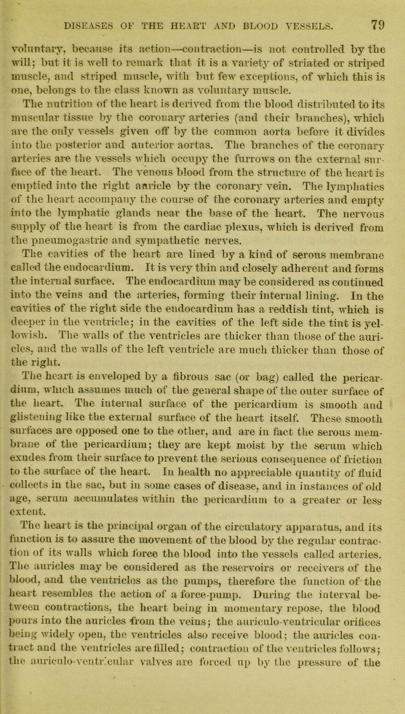 voluntary, because its action—contraction—is not controlled by tlie will; but it is well to remark that it is a variety of striated or striped muscle, and striped muscle, with but few exceptions, of which this is one, belongs to the class known as voluntary muscle. The nutrition of the heart is derived from the blood distributed to its muscular tissue by the coronary arteries (and their branches), which are the only vessels given off by the common aorta before it divides into the posterior and anterior aortas. The branches of the coronary arteries are the vessels which occupy the furrows on the external sur- face of the heart. The venous blood from the structure of the heart is emptied into the right auricle by the coronary vein. The lymphatics of the heart accompany the course of the coronary arteries and empty into the lymphatic glands near the base of the heart. The nervous supply of the heart is from the cardiac plexus, which is derived from the pneumogastric and sympathetic nerves. The cavities of the heart are lined by a kind of serous membrane called the endocardium. It is very thin and closely adherent and forms the internal surface. The endocardium may be considered as continued into the veins and the arteries, forming their internal lining. In the cavities of the right side the endocardium has a reddish tint, which is deeper in the ventricle; in the cavities of the left side the tint is yel- lowish. The walls of the ventricles are thicker than those of the auri- cles, and the walls of the left ventricle are much thicker than those of the right. The heart is enveloped by a fibrous sac (or bag) called the pericar- dium, which assumes much of the general shape of the outer surface of the heart. The internal surface of the pericardium is smooth and glistening like the external surface of the heart itself. These smooth surfaces are opposed one to the other, and are in fact the serous mem- brane of the pericardium; they are kept moist by the serum which exudes from their surface to prevent the serious consequence of friction to the surface of the heart. In health no appreciable quantity of fluid collects in the sac, but in some cases of disease, and in instances of old age, serum accumulates within the pericardium to a greater or less extent. The heart is the principal organ of the circulatory apparatus, and its function is to assure the movement of the blood by the regular contrac- tion of its walls which force the blood into the vessels called arteries. The auricles may be considered as the reservoirs or receivers of the blood, and the ventricles as the pumps, therefore the function of the heart resembles the action of a force-pump. During the interval be- tween contractions, the heart being in momentary repose, the blood pours into the auricles from the veins; the auriculo-ventricular orifices being widely open, the ventricles also receive blood; the auricles con- tract and the ventricles are filled; contraction of the ventricles follows; the auriculo-ventricular valves are forced up by the pressure of the