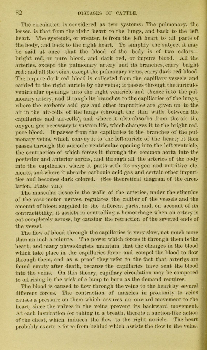 The circulation is considered, as two systems: The pulmonary, the lesser, is that from the right heart to the lungs, and back to the left heart. The systemic, or greater, is from the left heart to all parts of the body, and back to the right heart. To simplify the subject it may be said at once that the blood of the body is of two colors— bright red, or pure blood, and dark red, or impure blood. All the arteries, except the pulmonary artery and its branches, carry bright red; and all the veins, except the pulmonary veins, carry dark-red blood. The impure dark-red blood is collected from the capillary vessels and carried to the right auricle by the veins; it passes through the aurieulo- ventricular openings into the right ventricle and thence into the pul- monary artery, and through its branches to the capillaries of the lungs, where the carbonic acid gas and other impurities are given up to the air in the air-cells of the lungs (through the thin walls between the capillaries and air-cells), and where it also absorbs from the air the oxygen gas necessary to sustain life, which changes it to the bright red, pure blood. It passes from the capillaries to the branches of the pul- monary veins, which convey it to the left auricle of the heart; it then passes through the auriculo-ventricular opening into the left ventricle, the contraction of which forces it through the common aorta into the posterior and anterior aortas, and through all the arteries of the body into the capillaries, where it parts with its oxygen and nutritive ele- ments, and where it absorbs carbonic acid gas and certain other impuri- ties and becomes dark colored. (See theoretical diagram of the circu- lation, Plate vii.) The muscular tissue in the walls of the arteries, under the stimulus of the vaso-motor nerves, regulates the caliber of the vessels and the amount of blood supplied to the different parts, and, on account of its contractibility, it assists in controlling a hemorrhage when an artery is cut completely across, by causing the retraction of the severed ends of the vessel. The How of blood through the capillaries is very slow, not much more than an inch a minute. The power which forces it through them is the heart; and many physiologists maintain that the changes in the blood vilich take place in the capillaries favor and compel the blood to flow through them, and as a proof they refer to the fact that arteries are found empty after death, because the capillaries have sent the blood into the veins. On this theory, capillary circulation may be compared to oil rising in the wick of a lamp to burn as the demand requires. The blood is caused to flow through the veins to the heart by several different forces. The contraction of muscles in proximity to veins causes a pressure on them which assures an onward movement- to the heart, since the valves in the veins prevent its backward movement. At each inspiration (or taking in a breath, there is a suction-like action of the chest, which induces the flow to the right auricle. The heart probably exerts a force from behind which assists the flow in the veins.