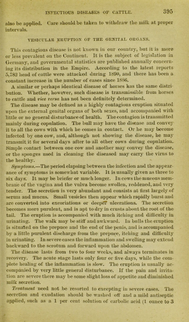 also be applied. Care should be taken to withdraw the milk at proper intervals. VESICULAR ERUPTION OF THE GENITAL ORGANS. This contagious disease is not known in our country, but it is more or less prevalent on the Continent. It is the subject ot legislation in Germany, and governmental statistics are published annually concern- ing its distribution in the Empire. According to the latest reports 5.7S2 head of cattle were attacked during 1890, and there has been a constant increase in the number of cases since 1880. A similar or perhaps identical disease of horses has the same distri- bution. Whether, however, such disease is transmissible from horses to cattle and vice versa has not been definitely determined. The disease may be defined as a highly contagious eruption situated upon the external genital organs of both sexes, and accompanied with little or no general disturbance of health. The contagion is transmitted mainly during copulation. The bull may have the disease and convey it to all the cows with which he comes in contact. Or he may become infected by one cow, and, although not showing the disease, he may transmit it for several days after to all other cows during copulation. Simple contact between one cow and another may convey the disease, or the sponges used in cleaning the diseased may carry the virus to the healthy. Symptoms.—The period elapsing between the infection and the appear- ance of symptoms is somewhat variable. It is usually given as three to six days: It may be briefer or much longer. In cows the mucous mem- brane of the vagina and the vulva become swollen, reddened, and very tender. The secretion is very abundant and consists at first largely of serum and mucus. Small vesicles then appear which rapidly burst and are converted into excoriations or deeper ulcerations. The secretion becomes more purulent, and is apt to dry in crusts about the root of the tail. The eruption is accompanied with much itchiug and difficulty in urinating. The walk may be stiff and awkward. In bulls the eruption is situated on the prepuce and the end of the penis, and is accompanied by a little purulent discharge from the prepuce, itching and difficulty in urinating. In severe cases the inflammation and swelling may extend backward to the scrotum and forward upon the abdomen. The disease lasts from two to four weeks, and always terminates in recovery. The acute stage lasts only four or five days, while the com- plete healing of the inflammation is slow. The eruption is usually ac- companied by very little general disturbance. If the pain and irrita- tion are severe there may be some slight loss of appetite and diminished milk secretion. Treatment need not be resorted to excepting in severe cases. The secretion and exudation should be washed off and a mild antiseptic applied, such as a 1 per cent solution of carbolic acid (1 ounce to 3