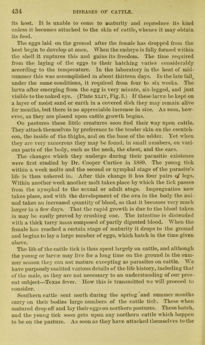 its liost. It is unable to come to maturity and reproduce its kind unless it becomes attacked to the skin of cattle, whence it may obtain its food. The eggs laid on the ground after the female has dropped from the host begin to develop at once. When the embryo is fully formed within the shell it ruptures this and gains its freedom. The time required from the laying of the eggs to their hatching varies considerably according to the temperature. In the laboratory in the heat of mid- summer this was accomplished in about thirteen days. In the late fall? under the same conditions, it required from four to six weeks. The larva after emerging from the egg is very minute, six-legged, and just visible to the naked eye. (Plate xliv, Fig. 3.) If these larvae be kept on a layer of moist sand or earth in a covered dish they may remain alive for months, but there is no appreciable increase in size. As soon, how- ever, as they are placed upon cattle growth begins. On pastures these little creatures soon find their way upon cattle. They attach themselves by preference to the tender skin on the escutch- eon, the inside of the thighs, and on the base of the udder. Yet when they are very numerous they may be found, in small numbers, on vari- ous parts of the body, such as the neck, the chest, and the ears. The changes which they undergo during their parasitic existence were first studied by Dr. Cooper Curtice in 18S9. The young tick within a week molts and the second or nymplial stage of the parasite’s life is thus ushered in. After this change it has four pairs of legs. Within another week another molt takes place by which the tick passes from the nymplial to the sexual or adult stage. Impregnation now takes place, and with the development of the ova in the body the ani- mal takes an increased quantity of blood, so that it becomes very much larger in a few days. That the rapid growth is due to the blood taken in may be easily proved by crushing one. The intestine is distended with a thick tarry mass composed of partly digested blood. When the female has reached a certain stage of maturity it drops to the ground and begins to lay a large number of eggs, which hatch in the time given above. The life of the cattle tick is thus spent largely on cattle, and although the young or larvae may live for a long time on the ground in the sum- mer season they can not mature excepting as parasites on cattle. We have purposely omitted various details of the life history, including that of the male, as they are not necessary to an understanding of our pres- ent subject—Texas fever. How this is transmitted we will proceed to consider. Southern cattle sent north during the spring and summer months carry on their bodies large numbers of the cattle tick. These when matured drop off and lay their eggs on northern pastures. These hatch, and the young tick soon gets upon any northern cattle which happen to be on the pasture. As soon as they have attached themselves to the