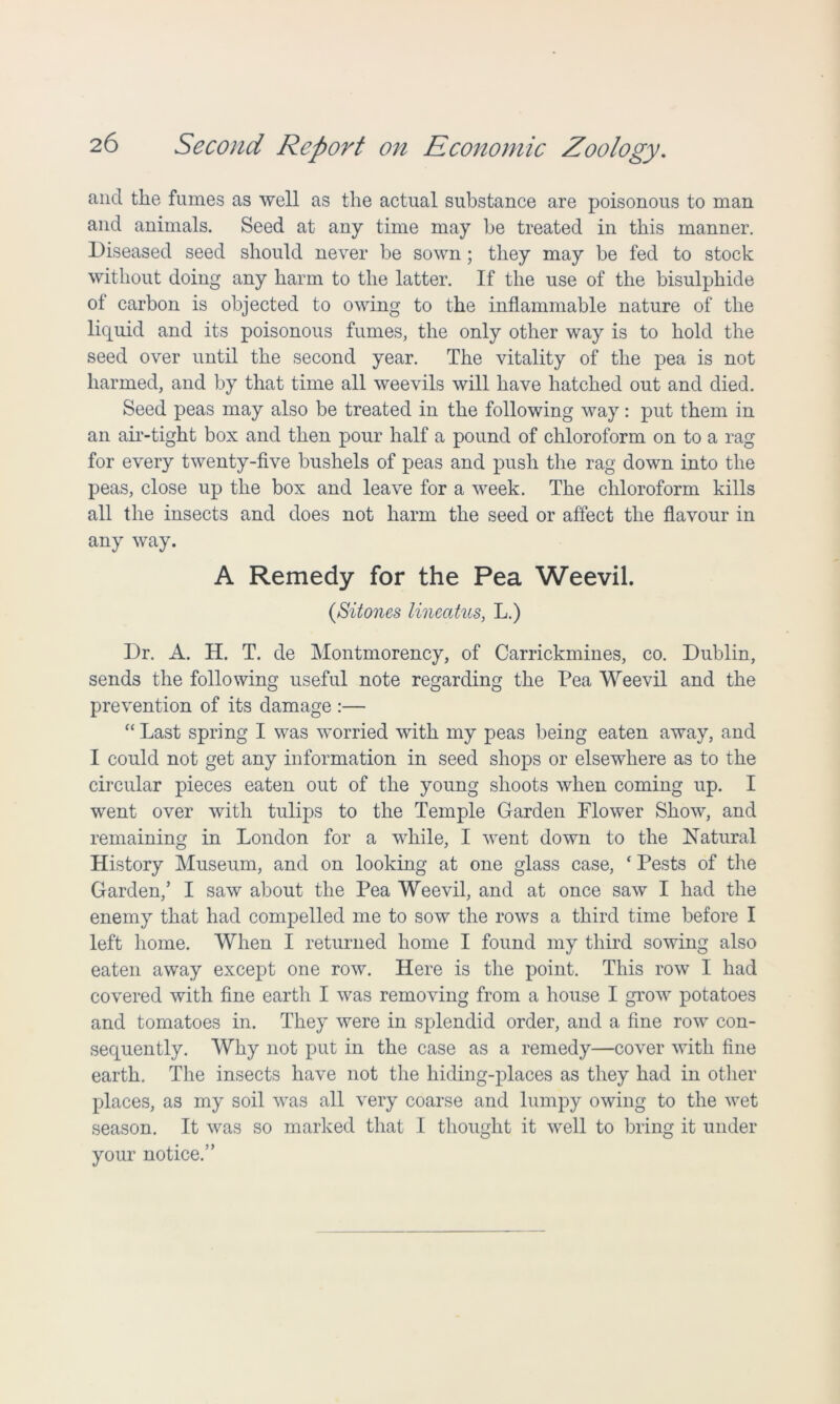 and the fumes as well as the actual substance are poisonous to man and animals. Seed at any time may be treated in this manner. Diseased seed should never he sown; they may be fed to stock without doing any harm to the latter. If the use of the bisulphide ot carbon is objected to owing to the inflammable nature of the liquid and its poisonous fumes, the only other way is to hold the seed over until the second year. The vitality of the pea is not harmed, and by that time all weevils will have hatched out and died. Seed peas may also be treated in the following way: put them in an air-tight box and then pour half a pound of chloroform on to a rag for every twenty-five bushels of peas and push the rag down into the peas, close up the box and leave for a week. The chloroform kills all the insects and does not harm the seed or affect the flavour in any way. A Remedy for the Pea Weevil. (Sitones lineatus, L.) Dr. A. H. T. de Montmorency, of Carrickmines, co. Dublin, sends the following useful note regarding the Pea Weevil and the prevention of its damage :— “ Last spring I was worried with my peas being eaten away, and I could not get any information in seed shops or elsewhere as to the circular pieces eaten out of the young shoots when coming up. I went over with tulips to the Temple Garden Flower Show, and remaining in London for a while, I went down to the Natural History Museum, and on looking at one glass case, * Pests of tire Garden/ I saw about the Pea Weevil, and at once saw I had the enemy that had compelled me to sow the rows a third time before I left home. When I returned home I found my third sowing also eaten away except one row. Here is the point. This row I had covered with fine earth I was removing from a house I grow potatoes and tomatoes in. They were in splendid order, and a fine row con- sequently. Why not put in the case as a remedy—cover with fine earth. The insects have not the hiding-places as they had in other places, as my soil was all very coarse and lumpy owing to the wet season. It was so marked that I thought it well to bring it under your notice.”