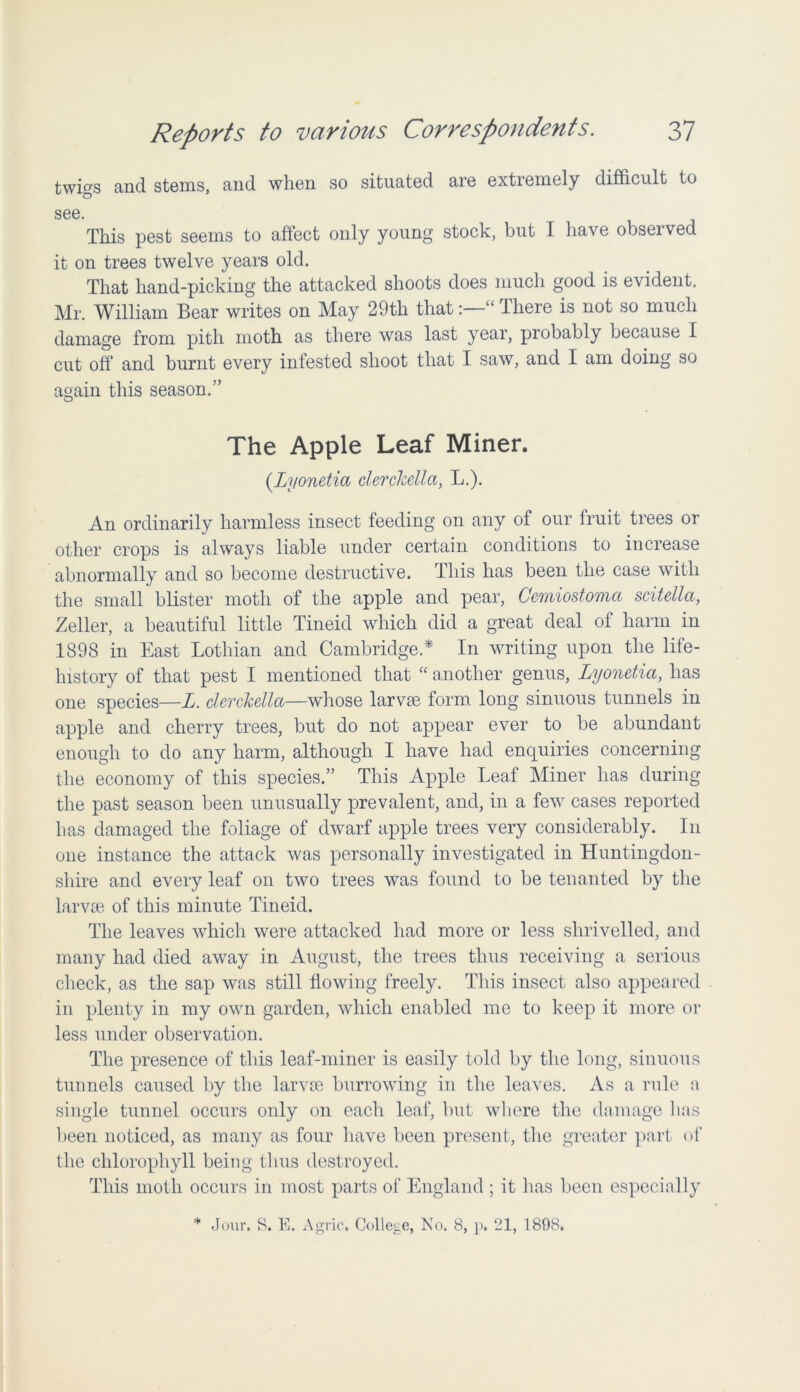 twigs and stems, and when so situated are extremely difficult to see. This pest seems to affect only young stock, but I have observed it on trees twelve years old. That hand-picking the attacked shoots does much good is evident. Mr. William Bear writes on May 29th that“ There is not so much damage from pith moth as there was last year, probably because I cut off and burnt every infested shoot that I saw, and I am doing so again this season.” The Apple Leaf Miner. (.Lyonetia clerckella, L.). An ordinarily harmless insect feeding on any of our fruit trees or other crops is always liable under certain conditions to increase abnormally and so become destructive. This has been the case with the small blister moth of the apple and pear, Cemiostoma scitella, Zeller, a beautiful little Tineicl which did a great deal of harm in 1898 in East Lothian and Cambridge A In writing upon the life- history of that pest I mentioned that “ another genus, Lyonetia, has one species—L. clerckella—whose larvae form long sinuous tunnels in apple and cherry trees, but do not appear ever to be abundant enough to do any harm, although I have had enquiries concerning the economy of this species.” This Apple Leaf Miner has during the past season been unusually prevalent, and, in a few cases reported has damaged the foliage of dwarf apple trees very considerably. In one instance the attack was personally investigated in Huntingdon- shire and every leaf on two trees was found to be tenanted by the larvae of this minute Tineid. The leaves which were attacked had more or less shrivelled, and many had died away in August, the trees thus receiving a serious check, as the sap was still flowing freely. This insect also appeared in plenty in my own garden, which enabled me to keep it more or less under observation. The presence of this leaf-miner is easily told by the long, sinuous tunnels caused by the larvae burrowing in the leaves. As a rule a single tunnel occurs only on each leaf, but where the damage has been noticed, as many as four have been present, the greater part of the chlorophyll being thus destroyed. This moth occurs in most parts of England ; it lias been especially * Jour. 8. E. Agric. College, No. 8, p. 21, 1808.