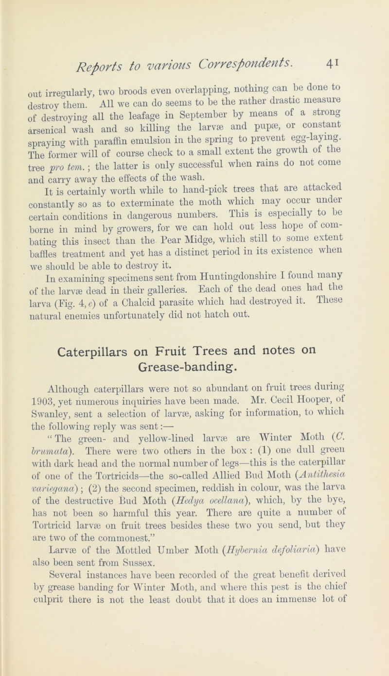 out irregularly, two broods even overlapping, nothing can be done to destroy them. All we can do seems to be the rather drastic measure of destroying all the leafage in September by means of a strong arsenical wash and so killing the larva3 and pupae, or constant spraying with paraffin emulsion in the spring to prevent egg-laying. The former will of course check to a small extent the growth of the tree pro torn. ; the latter is only successful when rains do not come and carry away the effects of the wash. It is certainly worth while to hand-pick trees that are attacked constantly so as to exterminate the moth which may occur under certain conditions in dangerous numbers. This is especially to be borne in mind by growers, for we can hold out less hope of com- bating this insect than the Pear Midge, which still to some extent baffles treatment and yet has a distinct period in its existence when we should be able to destroy it. In examining specimens sent from Huntingdonshire I found many of the larvae dead in their galleries. Each of the dead ones had the larva (Fig. 4, c) of a Chalcid parasite which had destroyed it. These natural enemies unfortunately did not hatch out. Caterpillars on Fruit Trees and notes on Grease-banding. Although caterpillars were not so abundant on fruit trees during 1903, yet numerous inquiries have been made. Mr. Cecil Hooper, oi Swanley, sent a selection of larvae, asking for information, to which the following reply was sent:— “ The green- and yellow-lined larvae are Winter Moth (C. brumata). There were two others in the box : (1) one dull green with dark head and the normal number of legs—this is the caterpillar of one of the Tortricids—the so-called Allied Bud Moth (Antithesia variegana); (2) the second specimen, reddish in colour, was the larva of the destructive Bud Moth {Hedya ocellana), which, by the bye, has not been so harmful this year. There are quite a number of Tortricid larvae on fruit trees besides these two you send, but they are two of the commonest.” Larvae of the Mottled Umber Moth (Hybernia defoliaricc) have also been sent from Sussex. Several instances have been recorded of the great benefit derived by grease banding for Winter Moth, and where this pest is the chief culprit there is not the least doubt that it does an immense lot of