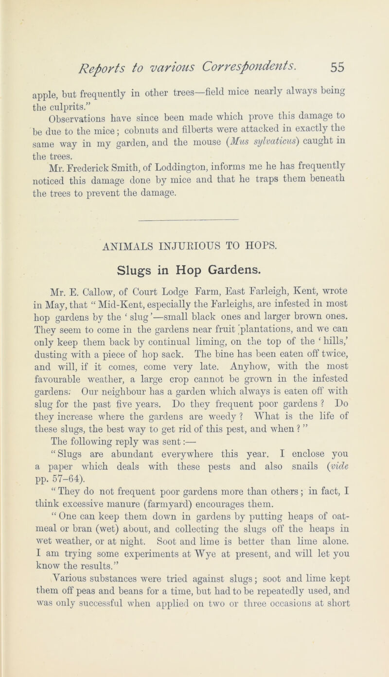 apple, but frequently in other trees—field mice nearly always being the culprits.” Observations have since been made which prove this damage to be due to the mice; cobnuts and filberts were attacked in exactly the same way in my garden, and the mouse (Mus sylvccticus) caught in the trees. Mr. Frederick Smith, of Loddington, informs me he has frequently noticed this damage done by mice and that he traps them beneath the trees to prevent the damage. ANIMALS INJURIOUS TO HOPS. Slugs in Hop Gardens. Mr. E. Callow, of Court Lodge Farm, East Farleigh, Kent, wrote in May, that “ Mid-Kent, especially the Farleighs, are infested in most hop gardens by the ‘ slug ’—small black ones and larger brown ones. They seem to come in the gardens near fruit plantations, and we can only keep them back by continual liming, on the top of the ‘ hills,’ dusting with a piece of hop sack. The bine has been eaten off twice, and will, if it comes, come very late. Anyhow, with the most favourable weather, a large crop cannot be grown in the infested gardens.' Our neighbour has a garden which always is eaten off with slug for the past five years. Do they frequent poor gardens ? Do they increase where the gardens are weedy ? What is the life of these slugs, the best way to get rid of this pest, and when ? ” The following reply was sent:— “ Slugs are abundant everywhere this year. I enclose you a paper which deals with these pests and also snails (vide pp. 57-64). “ They do not frequent poor gardens more than others; in fact, I think excessive manure (farmyard) encourages them. “ One can keep them down in gardens by putting heaps of oat- meal or bran (wet) about, and collecting the slugs off the heaps in wet weather, or at night. Soot and lime is better than lime alone. I am trying some experiments at Wye at present, and will let you know the results.” Various substances were tried against slugs; soot and lime kept them off peas and beans for a time, but had to be repeatedly used, and was only successful when applied on two or three occasions at short