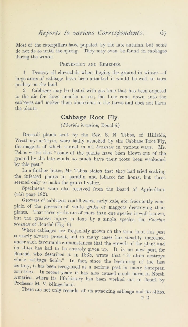 Most of the caterpillars have pupated by the late autumn, but some do not do so until the spring. They may even be found in cabbages during the winter. Prevention and Eemedies. 1. Destroy all chrysalids when digging the ground in winter—if large areas of cabbage have been attacked it would be well to turn poultry on the land. 2. Cabbages may be dusted with gas lime that has been exposed to the air for three months or so; the lime runs down into the cabbages and makes them obnoxious to the larvae and does not harm the plants. Cabbage Root Fly. (.Phorbia brassicse, Bouche.) Broccoli plants sent by the Eev. S. N. Tebbs, of Hillside, W estbury-on-Trym, were badly attacked by the Cabbage Eoot Fly, the maggots of which tunnel in all brassiere in various ways. Mr. Tebbs writes that “ some of the plants have been blown out of the ground by the late winds, so much have their roots been weakened by this pest.” In a further letter, Mr. Tebbs states that they had tried soaking the infected plants in paraffin and tobacco for hours, but these seemed only to make the grubs livelier. Specimens were also received from the Board of Agriculture (vide page 182). Growers of cabbages, cauliflowers, early kale, etc. frequently com- plain of the presence of white grubs or maggots destroying their plants. That these grubs are of more than one species is well known, but the greatest injury is done by a single species, the Phorbia brassiere of Bouche (Fig. 9). Where cabbages are frequently grown on the same land this pest is neaily always present, and in many cases has steadily increased under such favourable circumstances that the growth of the plant and its allies has had to be entirely given up. It is no new pest, for Bouche, who described it in 1833, wrote that “ it often destroys whole cabbage fields.” In fact, since the beginning of the last century, it has been recognised as a serious pest in many European countries. In recent years it has also caused much harm in North America, where its life-history has been worked out in detail by Professor M. V. Slingerland. There are not only records of its attacking cabbage and its allies, F 2