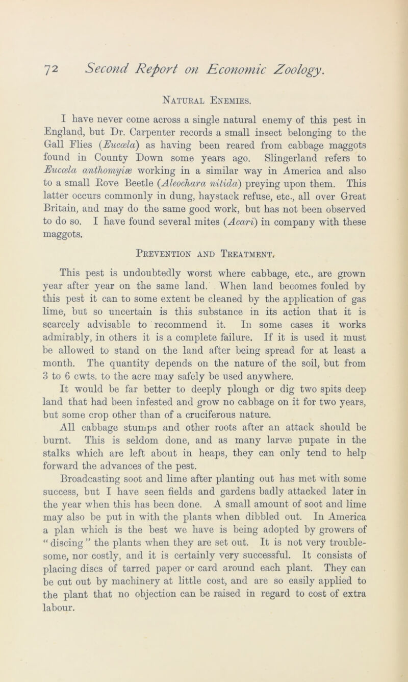 Natural Enemies. I have never come across a single natural enemy of this pest in England, but Dr. Carpenter records a small insect belonging to the Gall Elies (.Euccela) as having been reared from cabbage maggots found in County Down some years ago. Slingerland refers to Euccela anthomyise working in a similar way in America and also to a small Eove Beetle (Aleochcira nitida) preying upon them. This latter occurs commonly in dung, haystack refuse, etc., all over Great Britain, and may do the same good work, but has not been observed to do so. I have found several mites (Acari) in company with these maggots. Prevention and Treatment. This pest is undoubtedly worst where cabbage, etc., are grown year after year on the same land. When land becomes fouled by this pest it can to some extent be cleaned by the application of gas lime, but so uncertain is this substance in its action that it is scarcely advisable to recommend it. In some cases it works admirably, in others it is a complete failure. If it is used it must be allowed to stand on the land after being spread for at least a month. The quantity depends on the nature of the soil, but from 3 to 6 cwts. to the acre may safely be used anywhere. It would be far better to deeply plough or dig two spits deep land that had been infested and grow no cabbage on it for two years, but some crop other than of a cruciferous nature. All cabbage stumps and other roots after an attack should be burnt. This is seldom done, and as many larvre pupate in the stalks which are left about in heaps, they can only tend to help forward the advances of the pest. Broadcasting soot and lime after planting out has met with some success, but I have seen fields and gardens badly attacked later in the year when this has been done. A small amount of soot and lime may also be put in with the plants when dibbled out. In America a plan which is the best we have is being adopted by growers of “ discing ” the plants when they are set out. It is not very trouble- some, nor costly, and it is certainly very successful. It consists of placing discs of tarred paper or card around each plant. They can be cut out by machinery at little cost, and are so easily applied to the plant that no objection can be raised in regard to cost of extra labour.
