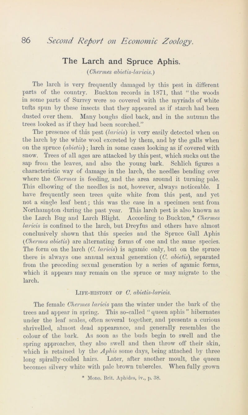 The Larch and Spruce Aphis. (Chermes abietis-laricis.) The larch is very frequently damaged by this pest in different parts of the country. Buckton records in 1871, that “the woods in some parts of Surrey were so covered with the myriads of white tufts spun by these insects that they appeared as if starch had been dusted over them. Many boughs died back, and in the autumn the trees looked as if they had been scorched.” The presence of this pest (Iccricis) is very easily detected when on the larch by the white wool excreted by them, and by the galls when on the spruce (abietis) ; larch in some cases looking as if covered with snow. Trees of all ages are attacked by this pest, which sucks out the sap from the leaves, and also the young bark. Schlich figures a characteristic way of damage in the larch, the needles bending over where the Chermes is feeding, and the area around it turning pale. This elbowing of the needles is not, however, always noticeable. I have frequently seen trees quite white from this pest, and yet not a single leaf bent; this was the case in a specimen sent from Northampton during the past year. This larch pest is also known as the Larch Bug and Larch Blight. According to Buckton,* Chermes laricis is confined to the larch, but Dreyfus and others have almost conclusively shown that this species and the Spruce Gall Aphis {Chermes abietis) are alternating forms of one and the same species. The form on the larch (C. laricis) is agamic only, but on the spruce there is always one annual sexual generation (C. abietis), separated from the preceding sexual generation by a series of agamic forms, which it appears may remain on the spruce or may migrate to the larch. Life-history of C. abietis-laricis. The female Chermes laricis pass the winter under the bark of the trees and appear in spring. This so-called “ queen aphis ” hibernates under the leaf scales, often several together, and presents a curious shrivelled, almost dead appearance, and generally resembles the colour of the bark. As soon as the buds begin to swell and the spring approaches, they also swell and then throw off their skin, which is retained by the Aphis some days, being attached by three long spirally-coiled hairs. Later, after another moult, the queen becomes silvery white with pale brown tubercles. When fully grown * Mono. Brit. Aphides, iv., p. 38.