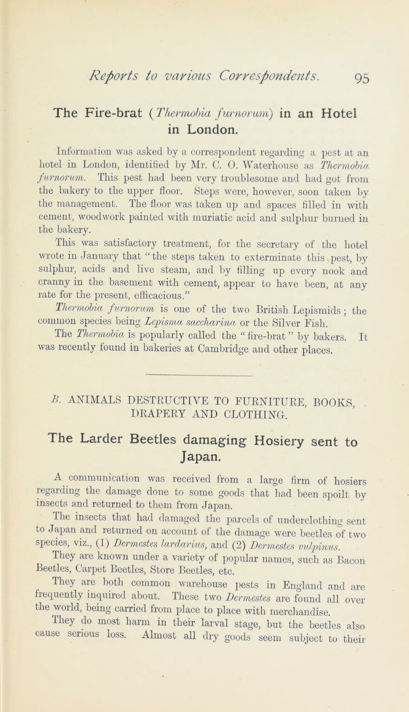 The Fire-brat (Thermobia fur norum) in an Hotel in London. Information was asked by a correspondent regarding a pest at an hotel in London, identified by Mr. C. 0. Waterhouse as Thermobia furnorum. This pest had been very troublesome and had got from the bakery to the upper floor. Steps were, however, soon taken by the management. The floor was taken up and spaces filled in with cement, woodwork painted with muriatic acid and sulphur burned in the bakery. This was satisfactory treatment, for the secretary of the hotel wrote in January that “ the steps taken to exterminate this pest, by sulphur, acids and live steam, and by filling up every nook and cranny in the basement with cement, appear to have been, at any rate for the present, efficacious.” Thermobia furnorum is one of the two British Lepismids ; the common species being Lepisma saccharina or the Silver Fish. The Thermobia is popularly called the “ fire-brat ” by bakers. It was recently found in bakeries at Cambridge and other places. B. ANIMALS DESTRUCTIVE TO FURNITURE, BOOKS, DRAPERY AND CLOTHING. The Larder Beetles damaging Hosiery sent to Japan. A communication was received from a large firm of hosiers regarding the damage done to some goods that had been spoilt by insects and returned to them from Japan. The insects that had damaged the parcels of underclothing sent to Japan and returned on account ol the damage were beetles of two species, viz., (1) Dermcstes lardarius, and (2) Dermestes vnlpinns. They are known under a variety of popular names, such as Bacon Beetles, Carpet Beetles, Store Beetles, etc. They aie both common warehouse pests in England and are frequently inquired about. These two Dermestes are found all over the world, being carried from place to place with merchandise. They do most harm in their larval stage, but the beetles also cause serious loss. Almost all dry goods seem subject to their