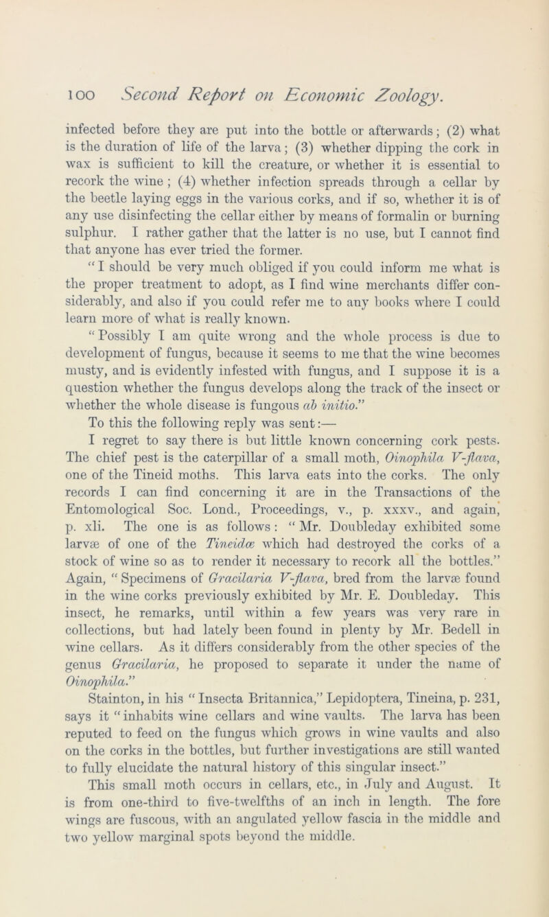 infected before they are put into the bottle or afterwards; (2) what is the duration of life of the larva; (3) whether dipping the cork in wax is sufficient to kill the creature, or whether it is essential to recork the wine ; (4) whether infection spreads through a cellar by the beetle laying eggs in the various corks, and if so, whether it is of any use disinfecting the cellar either by means of formalin or burning sulphur. I rather gather that the latter is no use, but I cannot find that anyone has ever tried the former. “ I should be very much obliged if you could inform me what is the proper treatment to adopt, as I find wine merchants differ con- siderably, and also if you could refer me to auy books where I could learn more of what is really known. “ Possibly I am quite wrong and the whole process is due to development of fungus, because it seems to me that the wine becomes musty, and is evidently infested with fungus, and I suppose it is a question whether the fungus develops along the track of the insect or whether the whole disease is fungous ctb initio.” To this the following reply was sent:— I regret to say there is but little known concerning cork pests. The chief pest is the caterpillar of a small moth, Oinophilct V-fiava, one of the Tineid moths. This larva eats into the corks. The only records I can find concerning it are in the Transactions of the Entomological Soc. Lond., Proceedings, v., p. xxxv., and again, p. xli. The one is as follows: “ Mr. Doubleday exhibited some larvae of one of the Tineidce which had destroyed the corks of a stock of wine so as to render it necessary to recork all the bottles.” Again, “ Specimens of Gracilarict V-flavct, bred from the larvae found in the wine corks previously exhibited by Mr. E. Doubleday. This insect, he remarks, until within a few years was very rare in collections, but had lately been found in plenty by Mr. Bedell in wine cellars. As it differs considerably from the other species of the genus Gracilaria, he proposed to separate it under the name of Oinophila” Stainton, in his “ Insecta Britannica,” Lepidoptera, Tineina, p. 231, says it “ inhabits wine cellars and wine vaults. The larva has been reputed to feed on the fungus which grows in wine vaults and also on the corks in the bottles, but further investigations are still wanted to fully elucidate the natural history of this singular insect.” This small moth occurs in cellars, etc., in July and August. It is from one-third to five-twelfths of an inch in length. The fore wings are fuscous, with an angulated yellow fascia in the middle and two yellow marginal spots beyond the middle.
