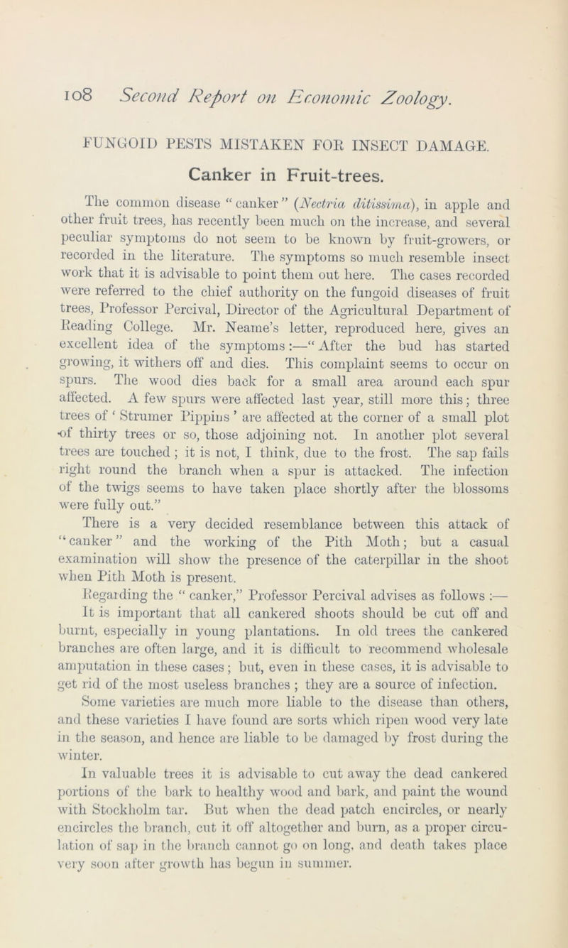 FUNGOID PESTS MISTAKEN FOR INSECT DAMAGE. Canker in Fruit-trees. I lie common disease “canker” (Nectria ditissima), in apple and other fruit trees, lias recently been much on the increase, and several peculiar symptoms do not seem to be known by fruit-growers, or recorded in the literature. The symptoms so much resemble insect work that it is advisable to point them out here. The cases recorded were referred to the chief authority on the fungoid diseases of fruit trees, Professor Percival, Director of the Agricultural Department of Reading College. Mr. Neame’s letter, reproduced here, gives an excellent idea of the symptoms:—“ After the bud has started growing, it withers off and dies. This complaint seems to occur on spurs. The wood dies back for a small area around each spur affected. A few spurs were affected last year, still more this; three trees of ‘ Strumer Pippins ’ are affected at the corner of a small plot of thirty trees or so, those adjoining not. In another plot several trees are touched ; it is not, I think, due to the frost. The sap fails right round the branch when a spur is attacked. The infection of the twigs seems to have taken place shortly after the blossoms were fully out.” There is a very decided resemblance between this attack of “ canker ” and the working of the Pith Moth; but a casual examination will show the presence of the caterpillar in the shoot when Pith Moth is present. Regarding the “ canker,” Professor Percival advises as follows :— It is important that all cankered shoots should be cut off and burnt, especially in young plantations. In old trees the cankered branches are often large, and it is difficult to recommend wholesale amputation in these cases; but, even in these cases, it is advisable to get rid of the most useless branches ; they are a source of infection. Some varieties are much more liable to the disease than others, and these varieties I have found are sorts which ripen wood very late in the season, and hence are liable to be damaged by frost during the winter. In valuable trees it is advisable to cut away the dead cankered portions of the bark to healthy wood and bark, and paint the wound with Stockholm tar. But when the dead patch encircles, or nearly encircles the branch, cut it off altogether and burn, as a proper circu- lation of sap in the branch cannot go on long, and death takes place very soon after growth has begun in summer.
