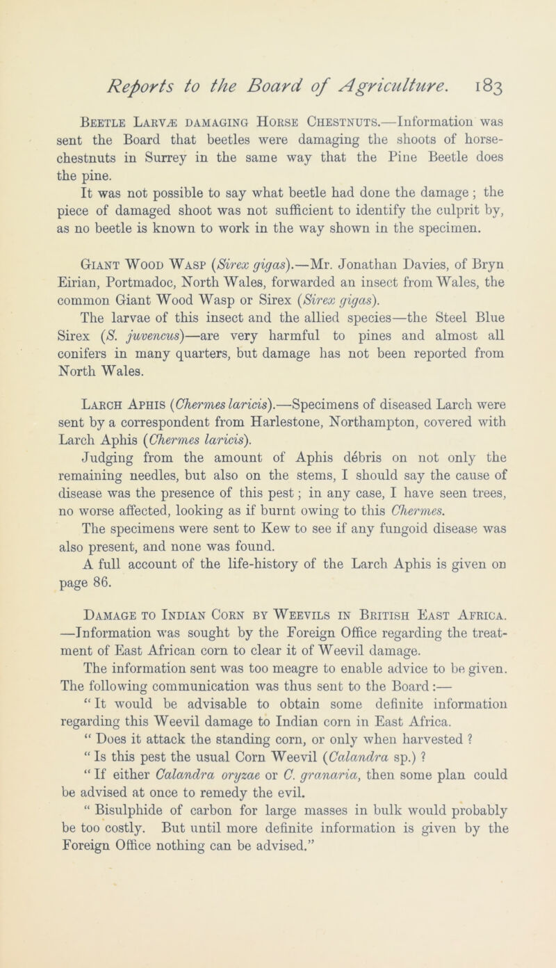 Beetle Larvae damaging Horse Chestnuts.—Information was sent the Board that beetles were damaging the shoots of horse- chestnuts in Surrey in the same way that the Pine Beetle does the pine. It was not possible to say what beetle had done the damage ; the piece of damaged shoot was not sufficient to identify the culprit by, as no beetle is known to work in the way shown in the specimen. Giant Wood Wasp (Sir ex gig as).—Mr. Jonathan Davies, of Bryn Eirian, Portmadoc, North Wales, forwarded an insect from Wales, the common Giant Wood Wasp or Sirex (Sirex gigas). The larvae of this insect and the allied species—the Steel Blue Sirex (S. juvencus)—are very harmful to pines and almost all conifers in many quarters, but damage has not been reported from North Wales. Larch Aphis (Chermes laricis).—Specimens of diseased Larch were sent by a correspondent from Harlestone, Northampton, covered with Larch Aphis (Chermes laricis). Judging from the amount of Aphis debris on not only the remaining needles, but also on the stems, I should say the cause of disease was the presence of this pest; in any case, I have seen trees, no worse affected, looking as if burnt owing to this Chermes. The specimens were sent to Kew to see if any fungoid disease was also present, and none was found. A full account of the life-history of the Larch Aphis is given on page 86. Damage to Indian Corn by Weevils in British East Africa. —Information was sought by the Foreign Office regarding the treat- ment of East African corn to clear it of Weevil damage. The information sent was too meagre to enable advice to be given. The following communication was thus sent to the Board:— “ It would be advisable to obtain some definite information regarding this Weevil damage to Indian corn in East Africa. “ Does it attack the standing corn, or only when harvested ? “ Is this pest the usual Corn Weevil (Calandra sp.) ? “ If either Calandra oryzae or C. granaria, then some plan could be advised at once to remedy the evil. “ Bisulphide of carbon for large masses in bulk would probably be too costly. But until more definite information is given by the Foreign Office nothing can be advised.”