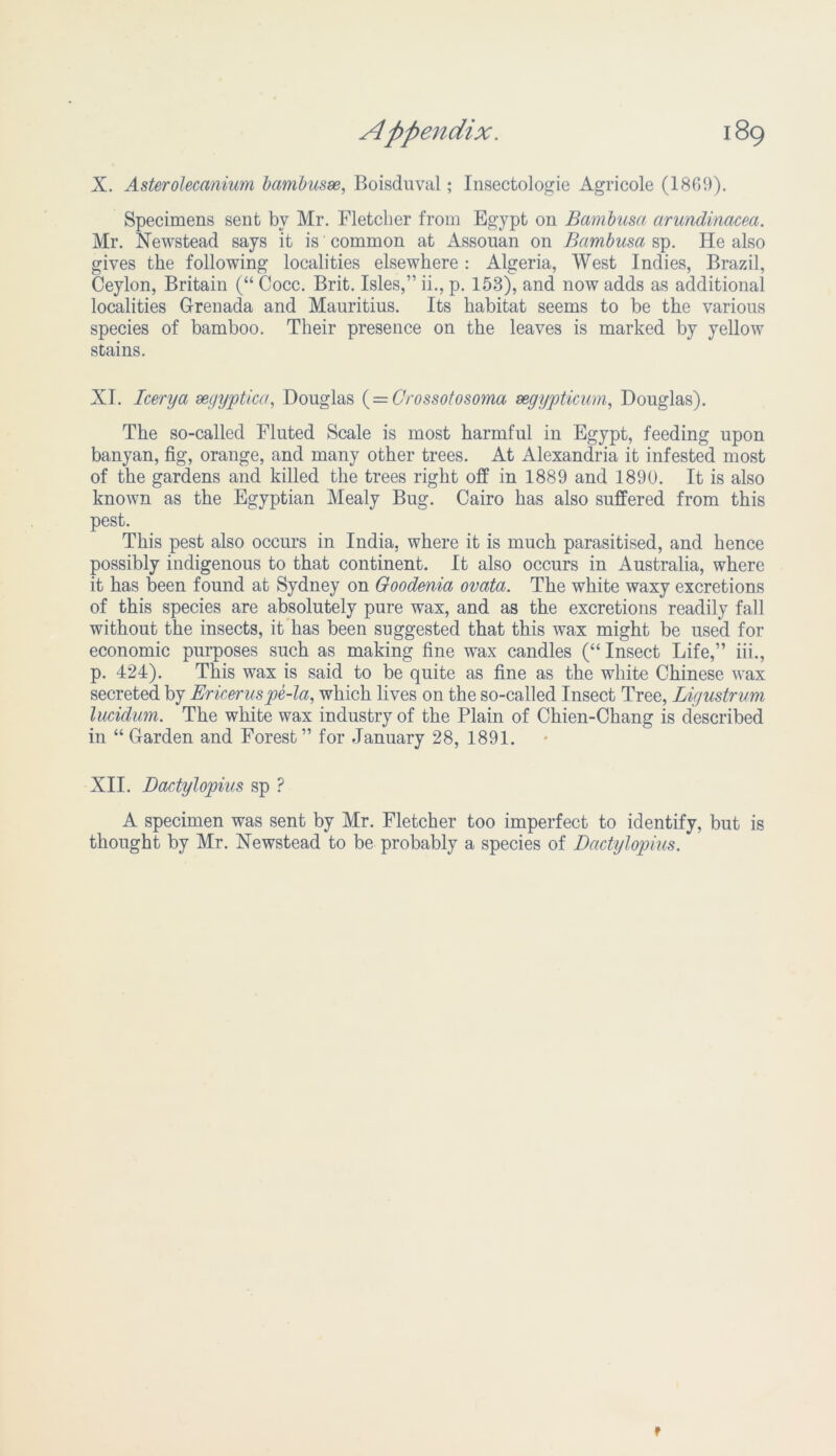 X. Asterolecanium bambusse, Boisduval; Insectologie Agricole (1869). Specimens sent by Mr. Fletcher from Egypt on Bambusa arundinacea. Mr. Newstead says it is common at Assouan on Bambusa sp. He also gives the following localities elsewhere : Algeria, West Indies, Brazil, Ceylon, Britain (“ Cocc. Brit. Isles,” ii., p. 153), and now adds as additional localities Grenada and Mauritius. Its habitat seems to be the various species of bamboo. Their presence on the leaves is marked by yellow stains. XI. leery a segyptica, Douglas (= Grossotosoma segypticum, Douglas). The so-called Fluted Scale is most harmful in Egypt, feeding upon banyan, fig, orange, and many other trees. At Alexandria it infested most of the gardens and killed the trees right off in 1889 and 1890. It is also known as the Egyptian Mealy Bug. Cairo has also suffered from this pest. This pest also occurs in India, where it is much parasitised, and hence possibly indigenous to that continent. It also occurs in Australia, where it has been found at Sydney on Goodmia ovata. The white waxy excretions of this species are absolutely pure wax, and as the excretions readily fall without the insects, it has been suggested that this wax might be used for economic purposes such as making fine wax candles (“Insect Life,” iii., p. 424). This wax is said to be quite as fine as the white Chinese wax secreted by Ericeruspe-la, which lives on the so-called Insect Tree, Ligustrum lucidum. The white wax industry of the Plain of Chien-Chang is described in “ Garden and Forest” for January 28, 1891. XII. Dactylopius sp ? A specimen was sent by Mr. Fletcher too imperfect to identify, but is thought by Mr. Newstead to be probably a species of Dactylopius. t