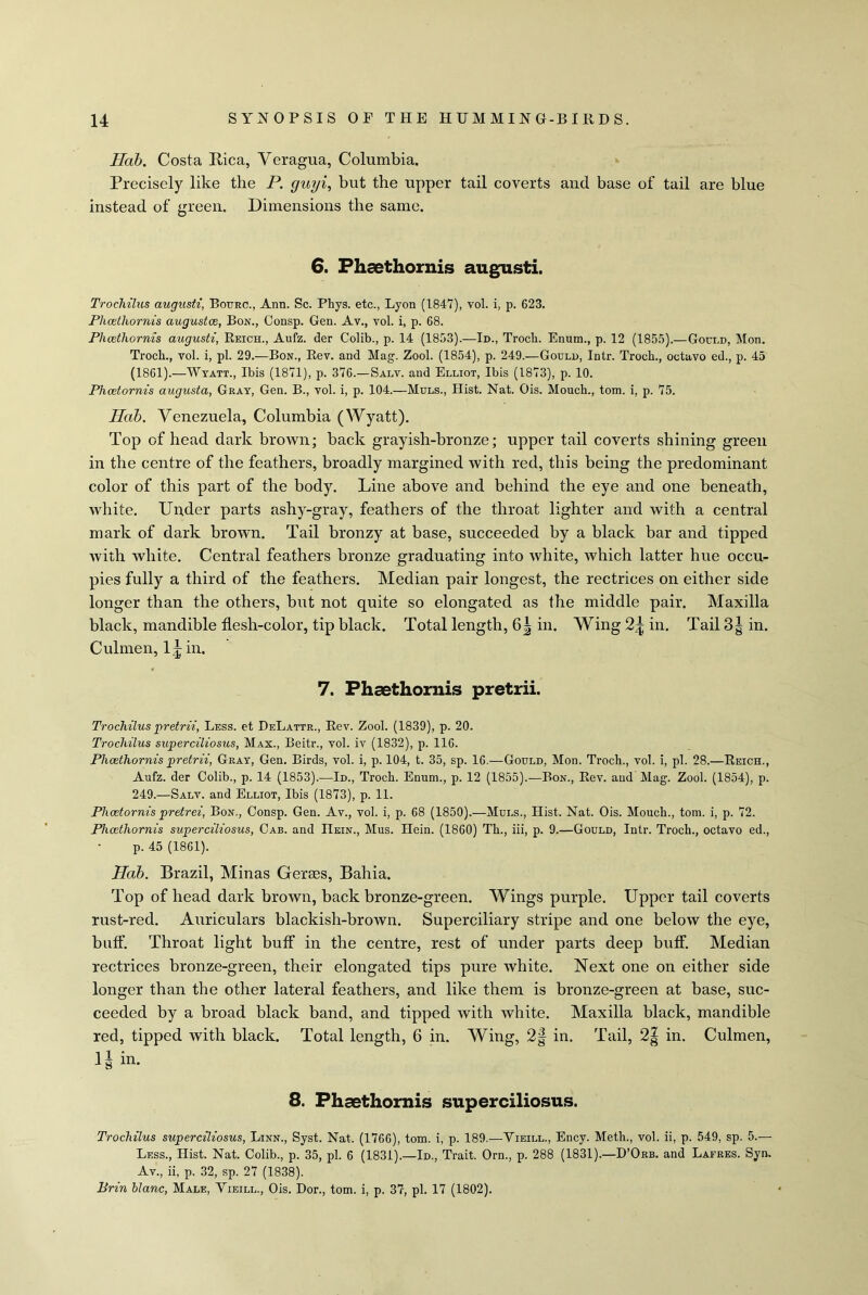 Hat. Costa Rica, Veragua, Columbia. Precisely like the P. guyi, but the upper tail coverts and base of tail are blue instead of green. Dimensions the same. 6. Phaethornis augusti. Trochilus augusti, Bourc., Ann. Sc. Phys. etc., Lyon (1847), vol. i, p. 623. Phcethornis augustce, Bon., Consp. Gen. Av., vol. i, p. 68. Phcethornis augusti, Reich., Aufz. der Golib., p. 14 (1853).—Id., Trocli. Enum., p. 12 (1855).—Gould, Mon. Troch., vol. i, pi. 29.—Bon., Rev. and Mag. Zool. (1854), p. 249.—Gould, Intr. Trocb., octavo ed., p. 45 (1861).—Wyatt., Ibis (1871), p. 376.—Salv. and Elliot, Ibis (1873), p. 10. Phcetornis augusta, Gray, Gen. B., vol. i, p. 104.—Muls., Hist. Nat. Ois. Mouch., tom. i, p. 75. licit. Venezuela, Columbia (Wyatt). Top of head dark brown; back grayish-bronze; upper tail coverts shining green in the centre of the feathers, broadly margined with red, this being the predominant color of this part of the body. Line above and behind the eye and one beneath, white. Under parts ashy-gray, feathers of the throat lighter and with a central mark of dark brown. Tail bronzy at base, succeeded by a black bar and tipped with white. Central feathers bronze graduating into white, which latter hue occu- pies fully a third of the feathers. Median pair longest, the rectrices on either side longer than the others, but not quite so elongated as the middle pair. Maxilla black, mandible flesh-color, tip black. Total length, 6\ in. Wing 2^ in. Tail 3§ in. Culmen, 1 \ in. 7. Phaethornis pretrii. Trochiluspretrii, Less, et DeLattr., Rev. Zool. (1839), p. 20. Trochilus superciliosus, Max., Beitr., vol. iv (1832), p. 116. Phcethornis pretrii, Gray, Gen. Birds, vol. i, p. 104, t. 35, sp. 16.—Gould, Mon. Troch., vol. i, pi. 28.—Reich., Aufz. der Colib., p. 14 (1853).—Id., Troch. Enum., p. 12 (1855).—Bon., Rev. and Mag. Zool. (1854), p. 249.—Salv. and Elliot, Ibis (1873), p. 11. Phcetornis pretrei, Bon,, Consp. Gen. Av., vol. i, p. 68 (1850).—Mui.s., Hist. Nat. Ois. Mouch., tom. i, p. 72. Phcethornis superciliosus, Cab. and Hein., Mus. Hein. (1860) Th., iii, p. 9.—Gould, Intr. Troch., octavo ed., p. 45 (1861). Hob. Brazil, Minas Geraes, Bahia. Top of head dark brown, back bronze-green. Wings purple. Upper tail coverts rust-red. Auriculars blackish-brown. Superciliary stripe and one below the eye, buff. Throat light buff in the centre, rest of under parts deep bnff. Median rectrices bronze-green, their elongated tips pure white. Next one on either side longer than the other lateral feathers, and like them is bronze-green at base, suc- ceeded by a broad black band, and tipped with white. Maxilla black, mandible red, tipped with black. Total length, 6 in. Wing, 2§ in. Tail, 2| in. Culmen, H in. 8. Phaethornis superciliosus. Trochilus superciliosus, Linn., Syst. Nat. (1766), tom. i, p. 189.—Yieill., Ency. Meth., vol. ii, p. 549, sp. 5.— Less., Hist. Nat. Colib., p. 35, pi. 6 (1831).—Id., Trait. Orn., p. 288 (1831).—D’Orb. and Lafres. Syn. Av., ii, p. 32, sp. 27 (1838). Brin blanc, Male, Yieill., Ois. Dor., tom. i, p. 37, pi. 17 (1802).