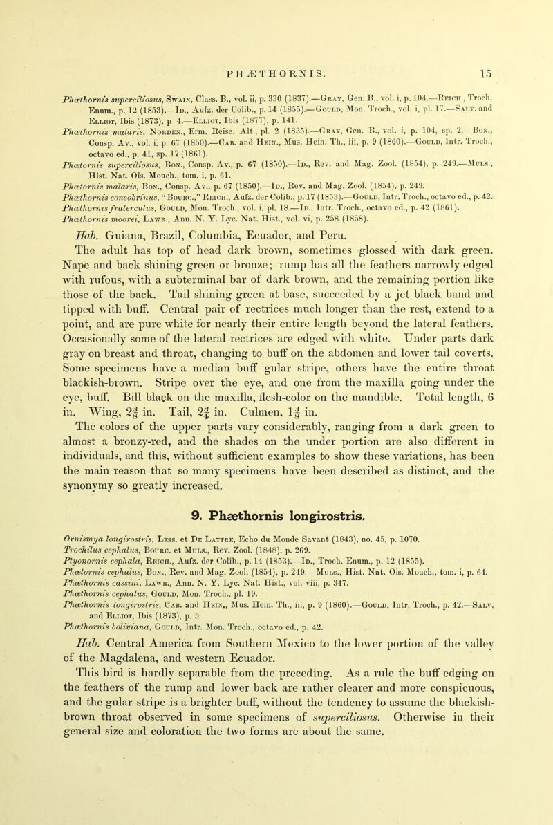 Plicethornis superciliosus, Swain, Class. B., vol. ii, p. 330 (1837).—Gray, Gen. B., vol. i, p. 104..—Retch., 1 roch. Enum., p. 12 (1853).—Id., Aufz. der Colib., p. 14 (1855).—Gould, Mon. Troch., vol. i, pi. 17.—Salt, and Elliot, Ibis (1873), p 4.-—Elliot, Ibis (1877), p. 141. Plicethornis malaris, Norden., Erra. Reise. Alt., pi. 2 (1835).—Gray, Gen. B., vol. i, p. 104, sp. 2.—Bon., Consp. Av., vol. i, p. 67 (1850).—Cab. and Hein., Mus. Hein. Th., iii, p. 9 (I860).—Gould, Intr. rI roch., octavo ed., p. 41, sp. 17 (1861). Phcetornis superciliosus, Bon., Consp. Av., p. 67 (1850).—Id., Rev. and Mag. Zool. (1854), p. 249.—Muls., Hist. Nat. Ois. Mouch., tom. i, p. 61. Phcetornis malaris, Bon., Consp. Av., p. 67 (1850).—Id., Rev. and Mag. Zool. (1854), p. 249. Plicethornis consobrinus, “Bourc.,” Reich., Aufz. der Colib., p. 17 (1853).—Gould, Intr. Troch., octavo ed., p. 42. Plicethornisfraterculus, Gould, Mon. Trocli., vol. i, pi. 18.—Id., Intr. Troch., octavo ed., p. 42 (1861). Plicethornis moorei, Lawr., Ann. N. Y. Lyc. Nat. Hist., vol. vi, p. 258 (1858). Hab. Guiana, Brazil, Columbia, Ecuador, and Peru. The adult has top of head dark brown, sometimes glossed with dark green. Nape and back shining green or bronze; rump has all the feathers narrowly edged with rufous, with a subterminal bar of dark brown, and the remaining portion like those of the back. Tail shining green at base, succeeded by a jet black band and tipped with buff. Central pair of rectrices much longer than the rest, extend to a point, and are pure white for nearly their entire length beyond the lateral feathers. Occasionally some of the lateral rectrices are edged with white. Under parts dark gray on breast and throat, changing to buff on the abdomen and lower tail coverts. Some specimens have a median buff gular stripe, others have the entire throat blackish-brown. Stripe over the eye, and one from the maxilla going under the eye, buff. Bill black on the maxilla, flesh-color on the mandible. Total length, 6 in. Wing, 2f in. Tail, 2§ in. Culmen, 1§ in. The colors of the upper parts vary considerably, ranging from a dark green to almost a bronzy-red, and the shades on the under portion are also different in individuals, and this, without sufficient examples to show these variations, has been the main reason that so many specimens have been described as distinct, and the synonymy so greatly increased. 9. Plicethornis longirostris. Ornismya longirostris, Less, et Be Lattre, Echo du Monde Savant (1843), no. 45, p. 1070. Trochilus cephalus, Bourc. et Muls., Rev. Zool. (1848), p. 269. Ptyonornis cepliala, Reich., Aufz. der Colib., p. 14 (1853).—Id., Trocli. Enum., p. 12 (1855). Phcetornis cephalus, Bon., Rev. and Mag. Zool. (1854), p. 249.—Muls., Hist. Nat. Ois. Mouch., tom. i, p. 64. Plicethornis cassini, Lawr., Ann. N. Y. Lyc. Nat. Hist., vol. viii, p. 347. Plicethornis cephalus, Gould, Mon. Troch., pi. 19. Plicethornis longirostris, Cab. and Hein., Mus. Hein. Th., iii, p. 9 (1860).—Gould, Intr Troch., p. 42.—Salv. and Elliot, Ibis (1873), p. 5. Plicethornis boliviana, Gould, Intr. Mon. Trocli., octavo ed., p. 42. Hab. Central America from Southern Mexico to the lower portion of the valley of the Magdalena, and western Ecuador. This bird is hardly separable from the preceding. As a rule the buff edging on the feathers of the rump and lower back are rather clearer and more conspicuous, and the gular stripe is a brighter buff, without the tendency to assume the blackish- brown throat observed in some specimens of superciliosus. Otherwise in their general size and coloration the two forms are about the same.