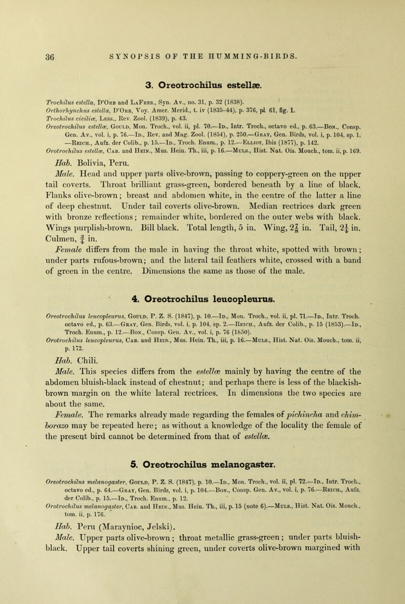 3. Oreotrochilus estellae. Trochilus estella, D’Orb and LaFres., Syn. Av., no. 31, p. 32 (1838). Orthorhynchus estella, D’Orb, Yoy. Amer. Merid., t. iv (1835-44), p. 376, pi, 61, fig. 1. Trochilus cicilice, Less., Rev. Zool. (1839), p. 43. Oreotrochilus estellae, Gould, Mon. Troch., vol. ii, pi. 70.—Id., Intr. Troch., octavo ed., p. 63.—Bon., Consp. Gen. Av., vol. i, p. 76.—Id., Rev. and Mag. Zool. (1854), p. 250.—Gray, Gen. Birds, vol. i, p. 104, sp. 1. —Reich., Aufz. der Colib., p. 15.—Id., Troch. Enura., p. 12.—Elliot, Ibis (1877), p. 142. Orotrochilus estellae, Cab. and Hein., Mus. Hein. Th., iii, p. 16.—Muls., Hist. Nat. Ois. Mouch., tom. ii, p. 169. Hab. Bolivia, Peru. Male. Head and upper parts olive-brown, passing to coppery-green on the upper tail coverts. Throat brilliant grass-green, bordered beneath by a line of black. Flanks olive-brown; breast and abdomen white, in the centre of the latter a line of deep chestnut. Under tail coverts olive-brown. Median rectrices dark green with bronze reflections; remainder white, bordered on the outer webs with black. Wings purplish-brown. Bill black. Total length, 5 in. Wing, 2| in. Tail, in. Culmen, § in. Female differs from the male in having the throat white, spotted with brown ; under parts rufous-brown; and the lateral tail feathers white, crossed with a band of green in the centre. Dimensions the same as those of the male. 4. Oreotrochilus leucopleurus. Oreotrochilus leucopleurus, Gould, P. Z. S. (1847), p. 10.—Id., Mon. Troch., vol. ii, pi. 71.—Id., Intr. Troch. octavo ed., p. 63.—Gray, Gen. Birds, vol. i, p. 104, sp. 2.—Reich., Aufz. der Colib., p. 15 (1853).—Id., Troch. Enum., p. 12.—Bon., Consp. Gen. Av., vol. i, p. 76 (1850). Orotrochilus leucopleurus, Cab. and Hein., Mus. Hein. Th., iii, p. 16.—Muls., Hist. Nat. Ois. Mouch., torn, ii, p. 172. Hab. Chili. Male. This species differs from the estellae, mainly by having the centre of the abdomen bluish-black instead of chestnut; and perhaps there is less of the blackish- brown margin on the white lateral rectrices. In dimensions the two species are about the same. Female. The remarks already made regarding the females of pichincha and Chim- borazo may be repeated here; as without a knowledge of the locality the female of the present bird cannot be determined from that of estellae. 5. Oreotrochilus melanogaster. Oreotrochilus melanogaster, Gould, P. Z. S. (1847), p. 10.—Id., Mon. Troch., vol. ii, pi. 72.—Id., Intr. Troch., octavo ed., p. 64.—Gray, Gen. Birds, vol. i, p. 104.—Bon., Consp. Gen. Av., vol. i, p. 76.—Reich., Aufz. der Colib., p. 15.—Id., Troch. Enum., p. 12. Orotrochilus melanogaster, Cab. and Hein., Mus. Hein. Th., iii, p. 15 (note 6).—Muls., Hist. Nat. Ois. Mouch., tom. ii, p. 176. Hab. Peru (Maraynioc, Jelski). Male. Upper parts olive-brown ; throat metallic grass-green ; under parts bluish- black. Upper tail coverts shining green, under coverts olive-brown margined with