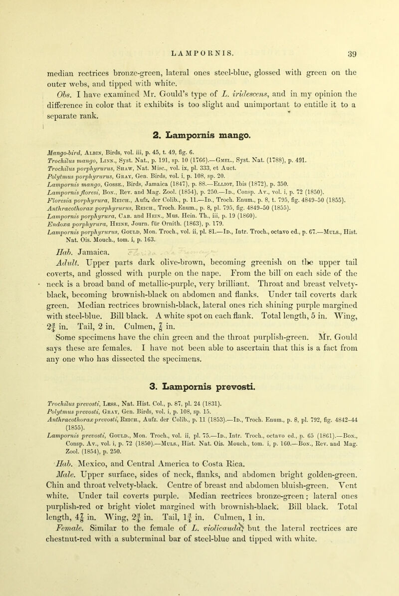 median rectrices bronze-green, lateral ones steel-blue, glossed with green on the outer webs, and tipped with white. Obs. I have examined Mr. Gould’s type of L. iridescens, and in my opinion the difference in color that it exhibits is too slight and unimportant to entitle it to a separate rank. 2. Lampoons mango. Mango-bird, Ai.bin, Birds, vol. iii, p. 45, t. 49, fig. 6. Trochilus mango, Lixn., Syst. Nat., p. 191, sp. 10 (1766).—Gmel., Syst. Nat. (1788), p. 491. Trocliilus porpliyrurus, Shaw, Nat. M isc., vol. ix, pi. 333, et Auct. Polytmus porpliyrurus, Gray, Gen. Birds, vol. i, p. 108, sp. 20. Lampornis mango, Gosse., Birds, Jamaica (1847), p. 88.—Elliot, Ibis (1872), p. 350. Lampornis jloresi, Bon., Rev. and Mag. Zool. (1854), p. 250.—Id., Consp. Av., vol. i, p. 72 (1850). Floresia porpliyrura, Reich., Aufz. der Colib., p. 11.—Id., Trocli. Enum., p. 8, t. 795, fig. 4849-50 (1855). Anthracothorax porpliyrurus, Reich., Trocli. Enum., p. 8, pi. 795, fig. 4849-50 (1855). Lampornis porpliyrura, Cab. and Hein., Mus. Hein. Th., iii, p. 19 (1860). Endoxa porpliyrura, Heine, Journ. fur Ornith. (1863), p. 179. Lampornis porpliyrurus, Gould, Mon. Trocli., vol. ii, pi. 81.—Id., Intr. Troch., octavo ed., p. 67.—Muls., Hist. Nat. Ois. Mouch., tom. i, p. 163. Hah. Jamaica. FA Adult. Upper parts dark olive-brown, becoming greenish on the upper tail coverts, and glossed with purple on the nape. From the bill’on each side of the neck is a broad band of metallic-purple, very brilliant. Throat and breast velvety- black, becoming brownish-black on abdomen and flanks. Under tail coverts dark green. Median rectrices brownish-black, lateral ones rich shining purple margined with steel-blue. Bill black. A white spot on each flank. Total length, 5 in. Wing, 2§ in. Tail, 2 in. Culmen, | in. Some specimens have the chin green and the throat purplish-green. Mr. Gould says these are females. I have not been able to ascertain that this is a fact from any one who has dissected the specimens. 3. Lampornis prevosti. Trocliilus prevosti, Less., Nat. Hist. Col., p. 87, pi. 24 (1831). Polytmus prevosti, Gray, Gen. Birds, vol. i, p. 108, sp. 15. Anthracothorax prevosti, Reich., Aufz. der Colib., p. 11 (1853).—Id., Trocli. Enum., p. 8, pi. 792, fig. 4842-44 (1855). Lampornis prevosti, Gould., Mon. Troch., vol. ii, pi. 75.—Id., Intr. Troch., octavo ed., p. 65 (1861).—Bon., Consp. Av., vol. i, p. 72 (1850).—Muls., Hist. Nat. Ois. Mouch., tom. i, p. 160.—Bon., Rev. and Mag. Zool. (1854), p. 250. Hob. Mexico, and Central America to Costa Rica. Male. Upper surface, sides of neck, flanks, and abdomen bright golden-green. Chin and throat velvety-black. Centre of breast and abdomen bluish-green. Vent white. Under tail coverts purple. Median rectrices bronze-green; lateral ones purplish-red or bright violet margined with brownish-black. Bill black. Total length, 4| in. Wing, 2f in. Tail, If in. Culmen, 1 in. Female. Similar to the female of L. violicaudcfy but the lateral rectrices are chestnut-red with a subterminal bar of steel-blue and tipped with white.