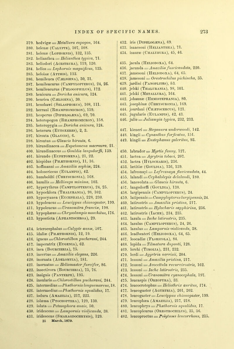 319. hedvigae = Metallura eupogon, 164. 380. helenae (Calypte), 101, 108. 381. helenae (Lophornis), 132, 135. 382. heliantliea = Heliantliea typica, 11. 383. heliodori (Acestrura), 119, 120. 384. hellos — Lophornis magnijicus, 135. 385. heloisae (Atthis), 113. 386. hemileuca (C^eligena), 30, 31. 381. hemileucurus (Campylopterus), 24, 26. 388. hemileucurus (Phlogophilus), 112. 389. henicura — Doricha enicura, 124. 390. henrica (C^eligena), 30. 391. henshawi (Selasphorus), 108, 111. 392. herrani (Rhampiiomicron), 159. 393. hesperus (Diphlog^ena), 69, 10. 394. heteropogon (Rhamphomicron), 158. 395. heteropygia = Doriclia enicura, 124. 396. heterura (Eutoxeres), 2, 3. 391. hirsuta (Glaucis), 6. 398. hirsutus = Glaucis hirsuia, 6. 399. hirundinacea = Eupetomena macroura, 21. 400. hirundinaeeus — Gouldia langsdorfi, 139. 401. hirundo (Eupetomena), 21, 22. 402. hispidus (Phtethornis), 11, 16. 403. hoffmanni = Amazilia sophise, 224. 404. holosericeus (Eulampis), 42. 405. humboldti (Chrysuronia), 168. 406. humilis — Mellisuga minima, 103. 401. hyperythrus (Campylopterus), 24, 25. 408. hypochlora (Thalurania), 98, 102. 409. hypocyanea (Eucephala), 228, 230. 410. hypoleucus == Leucippus chionogaster, 199. 411. hypoleucus — Uranomitra francise, 198. 412. hypophaens = Chrysolampis moschitus, 116. 413. hyposticta (Aphantociiroa), 29. 414. icterocephalus =Calypte annse, 101. 415. idaliae (Pii^ethornis), 12, 19. 416. igneus —Ghlorostilbon pucherani, 244. 411. imperatrix (Eugenia), 62. 418. inca (Bourcieria), 15. 419. incertus = Amazilia elegans, 226. 420. inornata (Adelomyia), 181. 421. inornatus — Heliomaster furcifer, 86. 422. insectivora (Bourcieria), 15, 16. 423. insignis (Panterpe), 195. 424. msulsLvls — Chlorostilbon pucherani, 244. 425. intermedius=P/ia5piorm's longuemareus, 18. 426. intermedius=P/iasPiorms squalidus, 11. 421. iodura (Amazilia), 211, 223. 428. iolaema (Ptochoptera), 129, 130. 429. iolata = Petasophora anais, 50. 430. iridescens = Lampornis violicauda, 38. 431. iridescens (Smaragdochrysis), 129. 35 March, 1879. 432. iris (Diphlog^ena), 69. 433. isaacsoni (Helianthea), 11. 434. isaurae (Ciialybura), 45, 46. 435. jacula (IIeliodoxa), 64. 436. jacunda = Amazilia fuscicaudala, 220. 431. jamesoni (Heliodoxa), 64, 65. 438. jamesoni = Oreotrochilus pichinclia, 35. 439. jardini (Panoplites), 53. 440. jelski (Thalurania), 98, 101. 441. jelski (Metallura), 164. 442. johannae (Hemistephania), 80. 443. josephinae (Chrysuronia), 169. 444. jourdani (Ciletocercus), 121. 445. jugularis (Eulampis), 42, 43. 446. julle = Juliamyia typica, 232, 233. 441. kieneri = Steganura underwoodi, 142. 448. kingii — Cynanthus forficatus, 151. 449. kingii = Eustephanus galeritus, 93. 450. labrador = Myrtis fanny, 121. 451. lactea = Agrytria tobaci, 201. 452. lactea (Hylociiaris), 236. 453. laetitiae (Gouldia), 136, 139. 454. lafresnayi — Lafresnaya flavicaudata, 44. 455. lalaudi — Cephalolepis delalandi, 180. 456. lanceolata = Glaucis hirsuta, 6. 451. langsdorffi (Gouldia), 138. 458. largipennis (Campylopterus), 24. 459. latipennis = Campylopterus largipennis, 24. 460. latirostris = Amazilia pristina, 211. 461. latirostris = Hylociiaris sapphirina, 236. 462. latirostris (Iache), 234, 235. 463. lazula = Iache latirostris, 235. 464. lazulus (Campylopterus), 24, 26. 465. lazulus = Lampornis violicauda, 38. 466. leadbeateri (Heliodoxa), 64, 65. 461. leocadiae (Floricola), 84. 468. leplda = Tilmatura duponti, 128. 469. lerchi (Timolia), 231, 232. 410. lerdi = Agyrtria no~~risii, 204. 411. lessoni — Amazilia pristina, 211. 412. lessoni = Avocettula recurvirostris, 162. 413. lessoni = Iache latirostris, 235. 414. lessoni —Uranomitra cyanocephala, 191. 415. leucaspis (Oreopyra), 33. 416. leucocrotophus = Heliothrix auritus, 114. 411. leucogaster (Agyrtria), 201, 202. 418. leucogaster — Leucippus chionogaster, 199. 419. leucophaea (Amazilia), 211, 218. 480. leucophrys =Phaethornis squalidus, 11. 481. leucopleurus (Oreotrochilus), 35, 36. 482. leucoproctus = Folytmus leucorrhous, 215.