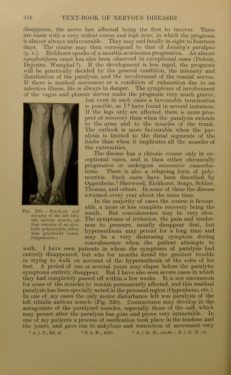 disappears, the nerve last affected being the first to recover. There are cases with a very violent course and high fever, in which the prognosis is almost always unfavourable. They may end fatally in eight to fourteen days. The course may then correspond to that of Landry s paralysis (q. v.). Eichhorst speaks of a neuritis acutissima progressiva. An almost apoplectiform onset has also been observed in exceptional cases (Dubois, Dejerine, Westphal1). If the development is less rapid, the prognosis will be practically decided by the general condition, the intensity and distribution of the paralysis, and the involvement of the cranial nerves. If there is marked marasmus or a condition of exhaustion due to an infective illness, life is always in danger. The symptoms of involvement of the vagus and phrenic nerves make the prognosis very much graver, but even in such cases a favourable termination is possible, as 12 have found in several instances. If the legs only are affected, there is more pros- pect of recovery than when the paralysis extends to the arms and to the muscles of the trunk. The outlook is more favourable when the par- alysis is limited to the distal segments of the limbs than when it implicates all the muscles of the extremities. The disease has a chronic course only in ex- ceptional cases, and is then either chronically progressive or undergoes successive exacerba- tions. There is also a relapsing form of poly- neuritis. Such cases have been described by Oppenheim,3 Sherwood, Eichhorst, Sorgo, Schlier, Thomas, and others. In some of these the disease returned every year about the same time. In the majority of cases the course is favour- able, a more or less complete recovery being the result. But convalescence may be very slow. The symptoms of irritation, the pain and tender- ness to pressure, usually disappear first, but hypersesthesia may persist for a long time and may be a very distressing symptom during convalescence when the patient attempts to walk. I have seen patients in whom the symptoms of paralysis had entirely disappeared, but who for months found the greatest trouble in trying to walk on account of the hypersesthesia of the soles of his feet. A period of one or several years may elapse before the paralytic symptoms entirely disappear. But I have also seen severe cases in which they had completely passed off within a few weeks. It is not uncommon for some of the muscles to remain permanently affected, and this residual paralysis has been specialty noted in the peroneal region (Oppenheim, etc.). In one of my cases the only motor disturbance left was paratysis of the left tibialis anticus muscle (Eig. 230). Contractures may develop in the antagonists of the paralysed muscles, especially those of the calf, which may persist after the paratysis has gone and prove verj^ intractable. In one of my patients a process of ossification took place in the tendons and the joints, and gave rise to ankylosis and restriction of movement very 1 A. /. P., Bd. xl. 2 B. k. W., 1890. 3 A. /. ft M., xxxvi. ; Z. /. kl. M., xi. Fig. 230. — Paralysis and atrophy of the left tibi- alis anticus muscle, all that remains of an alco- holic polyneuritis, other- wise practically cured. (Oppenheim.)