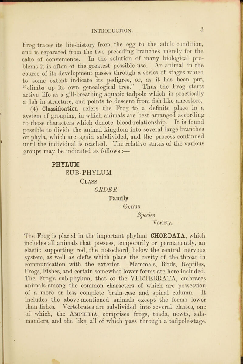Frog traces its life-history from the egg to the adult condition, and is separated from the two preceding branches merely for the sake of convenience. In the solution of many biological pro- blems it is often of the greatest possible use. An animal in the course of its development passes through a series of stages which to some extent indicate its pedigree, or, as it has been put, “ climbs up its own genealogical tree.” Thus the Frog starts active life as a gill-breathing aquatic tadpole which is practically a fish in structure, and points to descent from fish-like ancestors. (4) Classification refers the Frog to a definite place in a system of grouping, in which animals are best arranged according to those characters which denote blood-relationship. It is found possible to divide the animal kingdom into several large branches or phyla, which are again subdivided, and the process continued until the individual is reached. The relative status of the various groups may be indicated as follows :— PHYLUM SUB-PHYLUM Class ORDER Family Genus Sj^ecies Variety. The Frog is placed in the important phylum CHORDATA, which includes all animals that possess, temporarily or permanently, an elastic supporting rod, the notochord, below the central nervous system, as well as clefts which place the cavity of the throat in communication with the exterior. Mammals, Birds, Reptiles, Frogs, Fishes, and certain somewhat lower forms are here included. The Frog’s sub-phylum, that of the VERTEBRATA, embraces animals among the common characters of which are possession of a more or less complete brain-case and spinal column. It includes the above-mentioned animals except the forms lower than fishes. Vertebrates are subdivided into several classes, one of which, the Amphibia, comprises frogs, toads, newts, sala- manders, and the like, all of which pass through a tadpole-stage.