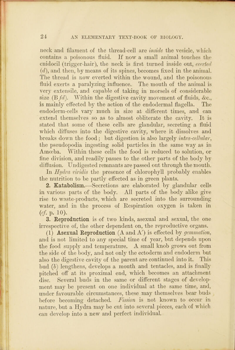 neck and filaraent of the thread-cell are inside the vesicle, whicli contains a poisonous fluid. If now a small animal touches the cnidocil (trigger-hair), the neck is first turned inside out, everted {d), and then, by means of its spines, becomes fixed in the animal. The thread is now everted within the wound, and the poisonous fluid exerts a paralyzing influence. The mouth of the animal is very extensile, and capable of taking in morsels of considerable size (B/r/). Within the digestive cavity movement of fluids, &c., is mainly effected by the action of the endodermal flagella. The endoderm-cells vary much in size at different times, and can extend themselves so as to almost obliterate the cavity. It is stated that some of these cells are glandular, secreting a fluid which diftiises into the digestive cavity, where it dissolves and breaks down the food; but digestion is also largely intra-ceUular, the pseudopodia ingesting solid particles in the same way as in Amoeba. AVithiii these cells the food is reduced to solution, or fine division, and readily passes to the other parts of the body by diffusion. Undigested remnants are passed out through the mouth. In Hydra riridis the })resence of chlorophyll probably enables the nutrition to be partly effected as in green plants. 2. Katabolism.—Secretions are elaborated by glandular cells in various parts of the body. All parts of the body alike give rise to waste-products, which are secreted into the surrounding water, and in the process of Respiration oxygen is taken in (<■/. p. 10). 3. Reproduction is of two kinds, asexual and sexual, the one irrespective of, the other dependent on, the reproductive organs. (1) Asexual Reproduction (A and A') is effected by gemmation^ and is not limited to any special time of year, but depends upon the food supply and temperature. A small knob grows out from the side of the body, and not only the ectoderm and endoderm but also the digestive cavity of the parent are continued into it. This bud (h) lengthens, develops a mouth and tentacles, and is finally pitched off at its proximal end, which becomes an attachment disc. Several buds in the same or different stages of develop- ment may be present on one individual at the same time, and, under favourable circumstances, these may themselves bear buds before becoming detached. Fission is not known to occur in nature, but a Hydra may be cut into several })ieces, each of which can develop into a new and perfect individual.