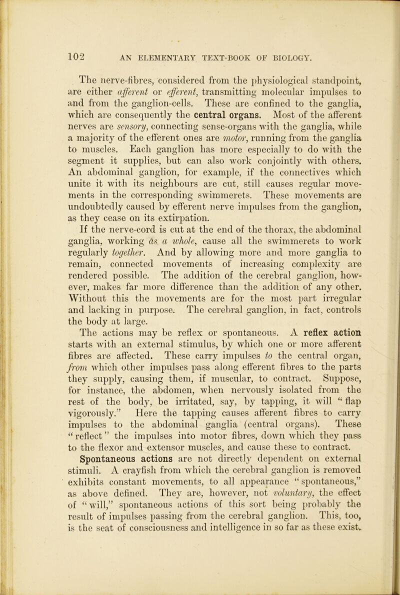 The nerve-fibres, considered from the jdiysiological standpoint, are either afferent or efferent, transmitting molecular impulses to and from the ganglion-cells. These are confined to the ganglia, which are consequently the central organs. Most of the afferent nerves are sensory, connecting sense-organs with the ganglia, while a majority of the efferent ones are motor, running from the ganglia to muscles. Each ganglion has more especially to do with the segment it supplies, but can also work conjointly with others. An abdominal ganglion, for example, if the connectives which unite it with its neighbours are cut, still causes regular move- ments in the corresponding swimmerets. These movements are undoubtedly caused by efferent nerve impulses from the ganglion, as they cease on its extirpation. If the nerve-cord is cut at the end of the thorax, the abdominal ganglia, working as a whole, cause all the swimmerets to work regularly together. And by allowing more and more ganglia to remain, connected movements of increasing complexity are rendered possible. The addition of the cerebral ganglion, how- ever, makes far more difference than the addition of any other. Without this the movements are for the most part irregular and lacking in purpose. The cerebral ganglion, in fact, controls the body at large. The actions may be reflex or spontaneous. A reflex action starts with an external stimulus, by which one or more afferent fibres are affected. These carry impulses to the central organ, from which other impulses pass along efferent fibres to the parts they supply, causing them, if muscular, to contract. Suppose, for instance, the abdomen, when nervously isolated from the rest of the body, be irritated, say, by tapping, it will ‘‘ flap vigorously.’’ Here the tapping causes afferent fibres to carry impulses to the abdominal ganglia (central organs). These ‘‘ reflect ” the impulses into motor fibres, down which they pass to the flexor and extensor muscles, and cause these to contract. Spontaneous actions are not directly dependent on external stimuli. A crayfish from which the cerebral ganglion is removed exhibits constant movements, to all appearance spontaneous,” as above defined. They are, however, not voluntary, the effect of “ will,” spontaneous actions of this sort being probably the result of impulses passing from the cerebral ganglion. This, too, is the seat of consciousness and intelligence in so far as these exist.