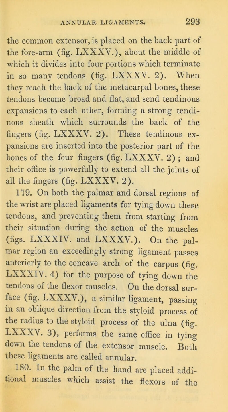 the common extensor, is placed on the back part of the fore-arm (fig. LXXXV.), about the middle of which it divides into four portions which terminate in so many tendons (fig. LXXXV. 2). When they reach the back of the metacarpal bones, these tendons become broad and flat, and send tendinous expansions to each other, forming a strong tendi- nous sheath which surrounds the back of the fingers (fig. LXXXV. 2). These tendinous ex- pansions are inserted into the posterior part of the bones of the four fingers (fig. LXXXV. 2) ; and their office is powerfully to extend all the joints of all the fingers (fig. LXXXV. 2). 119. On both the palmar and dorsal regions of the wrist are placed ligaments for tying down these tendons, and preventing them from starting from their situation during the action of the muscles (figs. LXXXIV. and LXXXV.). On the pal- mar region an exceedingly strong ligament passes anteriorly to the concave arch of the carpus (fig. LXXXIV. 4) for the purpose of tying down the tendons of the flexor muscles. On the dorsal sur- face (fig. LXXXV.), a similar ligament, passing in an oblicpie direction from the styloid process of the radius to the styloid process of the ulna (fig. LXXXV. 3), performs the same office in tying down the tendons of the extensor muscle. Both these ligaments are called annular. 180. In the palm of the hand are placed addi- tional muscles which assist the flexors of the