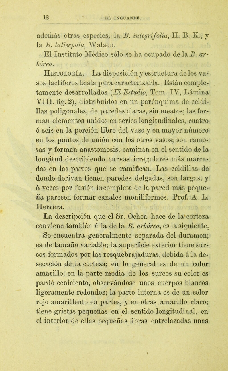 además otras especies, la B. integrifolia, H. B. K., y la JB. latisepala, Watson. El Instituto Médico sólo se ha ocupado de la B. ar- bórea. Histología.—La disposición y estructura de los va- sos lactíferos basta para caracterizarla. Están comple- tamente desarrollados (El Estudio, Tom. IY, Lámina VIII. fig. 2), distribuidos en un parénquima de celdi- llas poligonales, de paredes claras, sin meatos; las for- man elementos unidos en series longitudinales, cuatro ó seis en la porción libre del vaso y en mayor número en los puntos de unión con los otros vasos; son ramo- sas y forman anastomosis; caminan en el sentido de la longitud describiendo curvas irregulares más marca- das en las partes que se ramifican. Las celdillas de donde derivan tienen paredes delgadas, son largas, y á veces por fusión incompleta de la pared más peque- ña parecen formar canales moniliformes. Prof. A. L. Herrera. La descripción que el Sr. Ochoa hace de la* corteza conviene también á la de la B. arbórea, es la siguiente. Se encuentra generalmente separada del duramen; es de tamaño variable; la superficie exterior tiene sur- cos formados por las resquebrajaduras, debida á la de- secación de la corteza; en lo general es de un color amarillo; en la parte media de los surcos su color es pardo ceniciento, observándose unos cuerpos blancos ligeramente redondos; la parte interna es de un color rojo amarillento en partes, y en otras amarillo claro; tiene grietas pequeñas en el sentido longitudinal, en el interior de ellas pequeñas fibras entrelazadas unas
